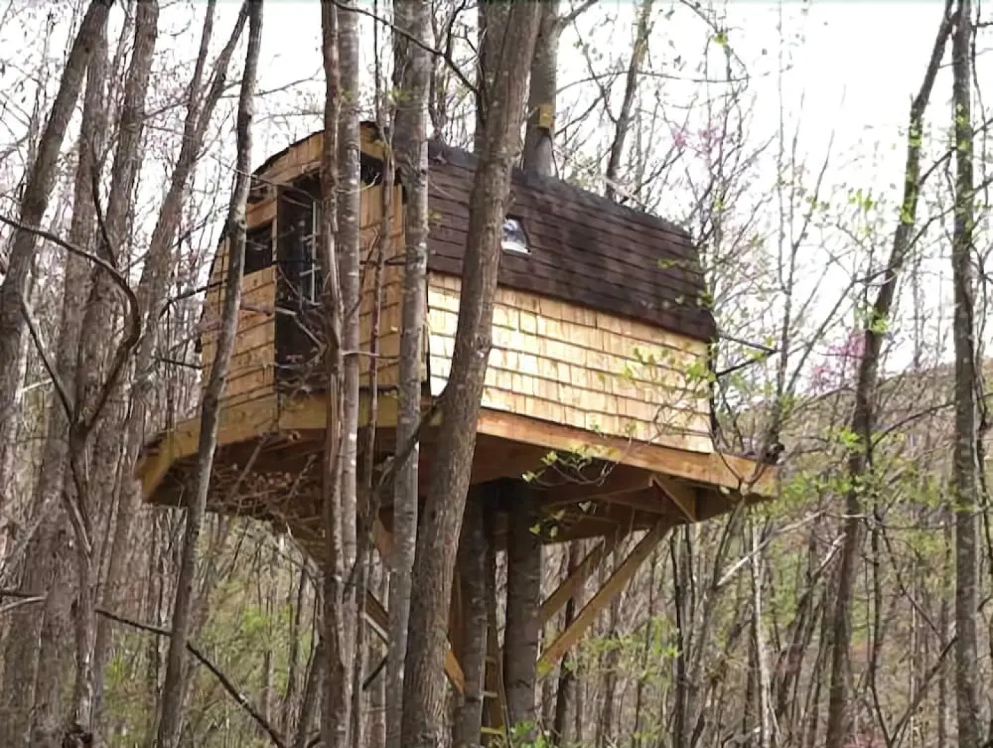 Lost Forest Bed and Breakfast