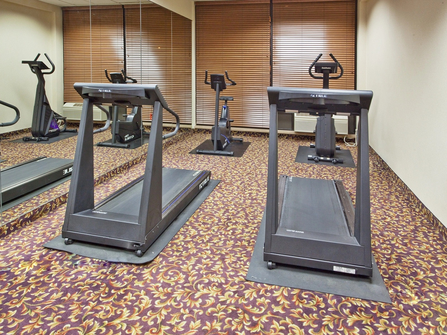 Holiday Inn Express Big Rapids by IHG