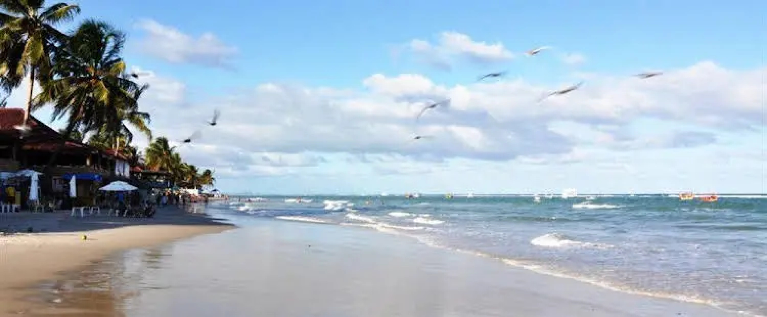 Taba Brasil
