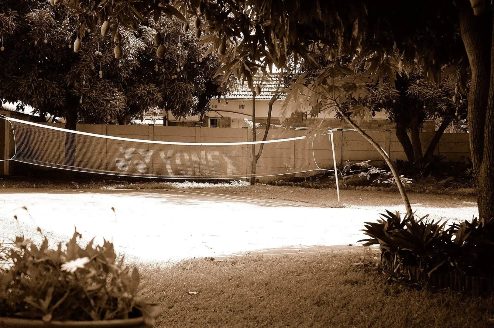 Trees Too Guest Lodge