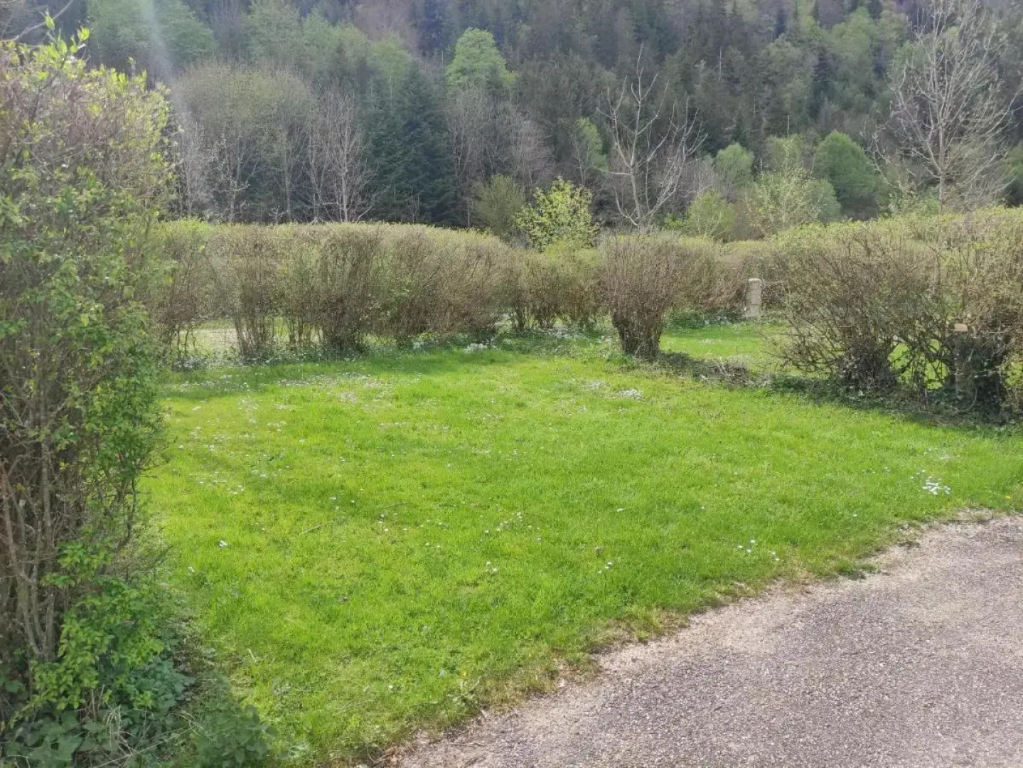 Adonis Le Signal De Nantua By Olydea