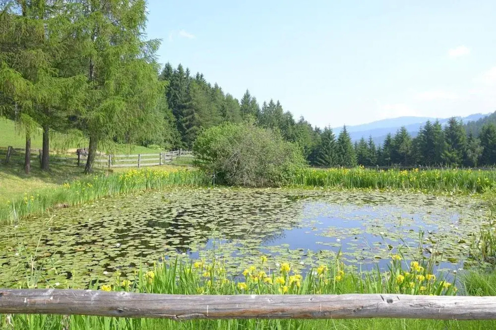 Zum Löwen-Post Hotel