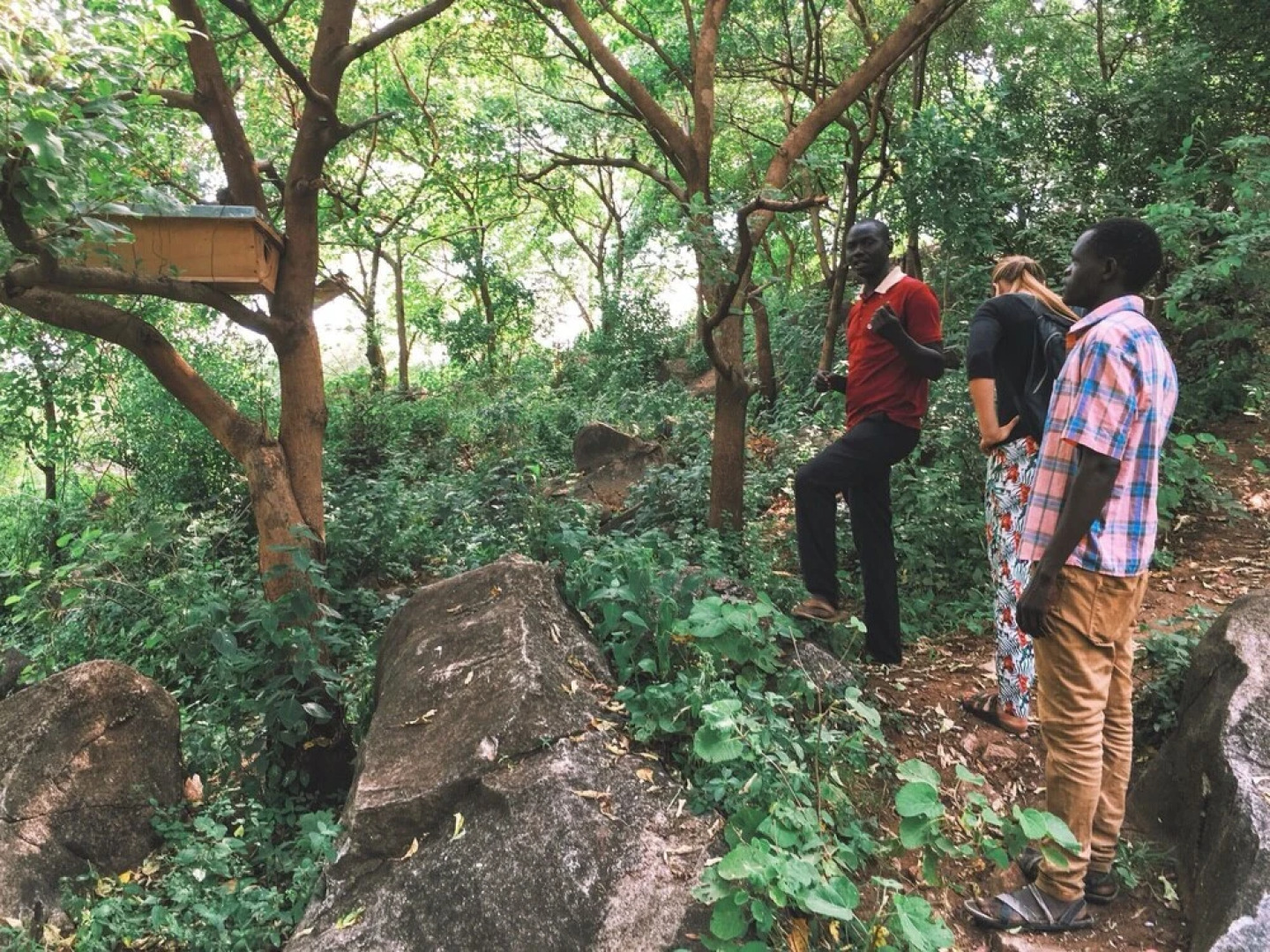Kara-Tunga, Karamoja Safari Camp