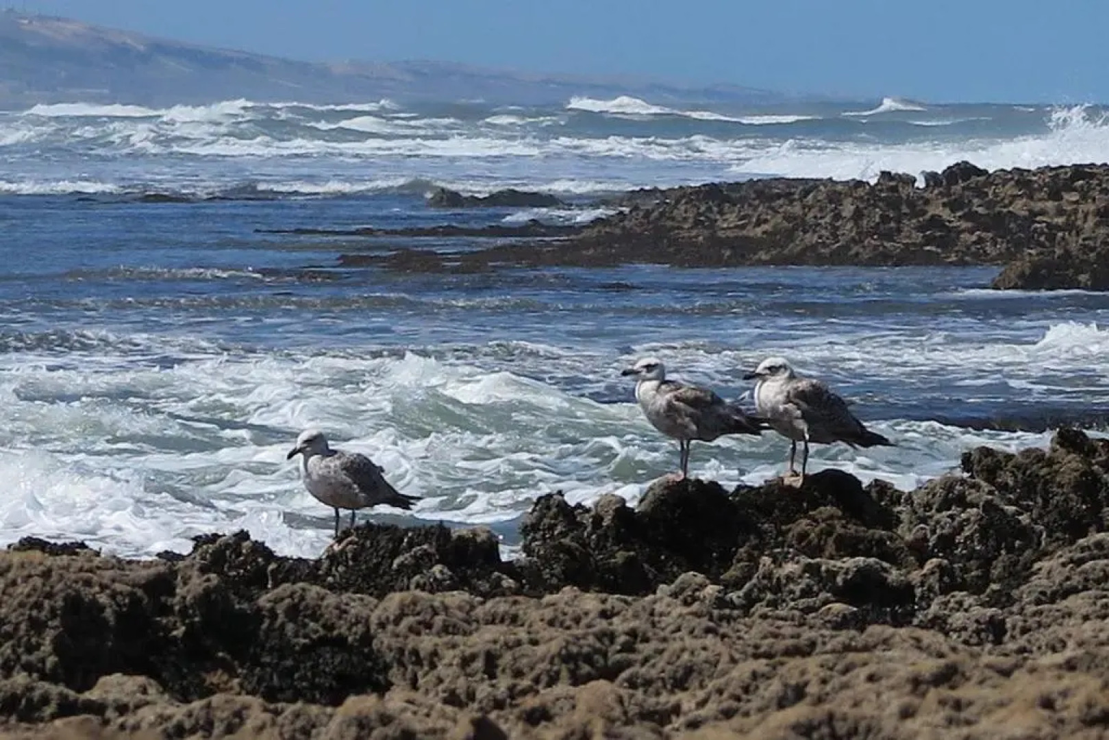 Appartement 100M² Avec Terrasse 200M² Privée Vue Sur Mer