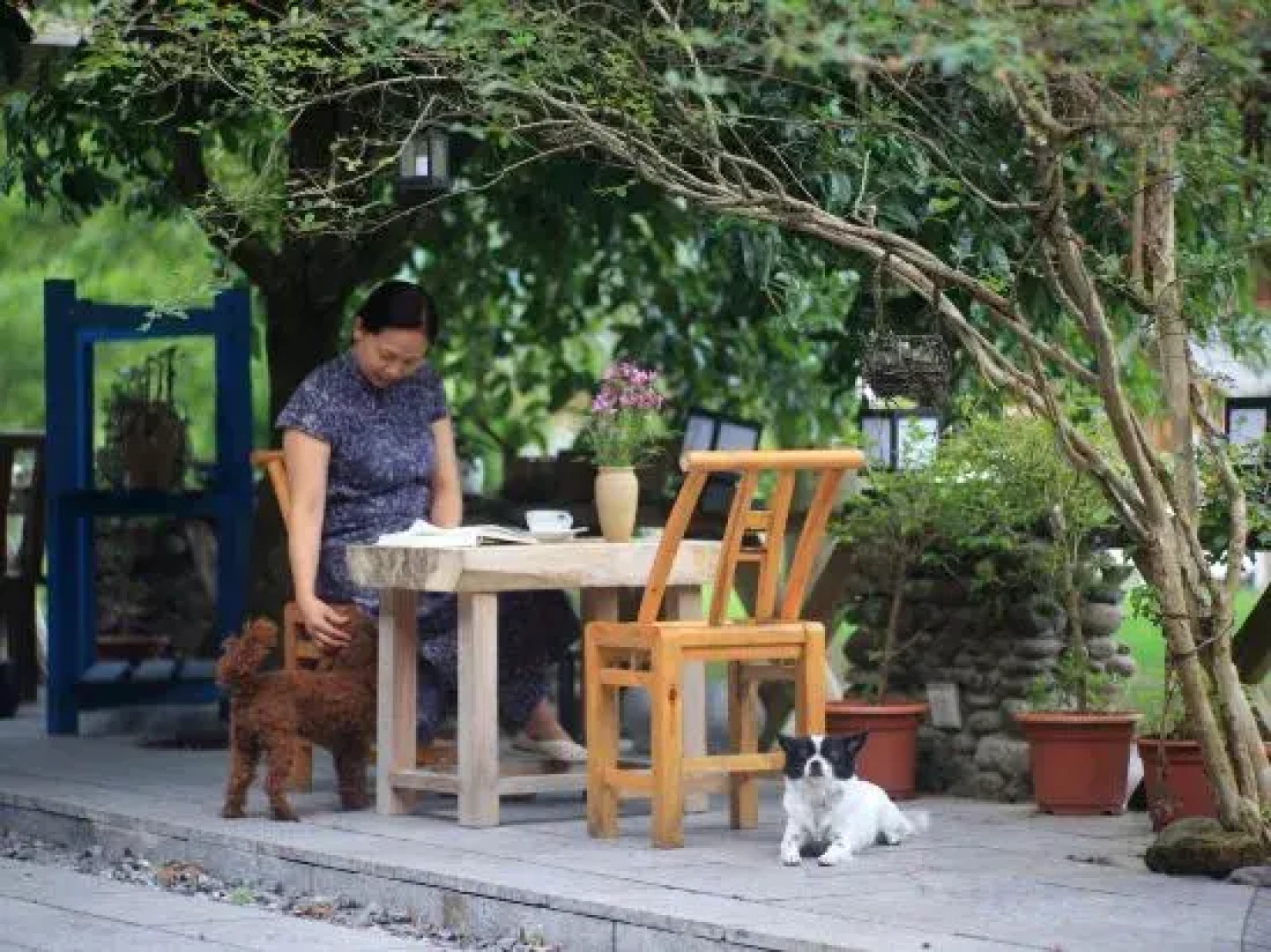 Yunshe Puju Guesthouse