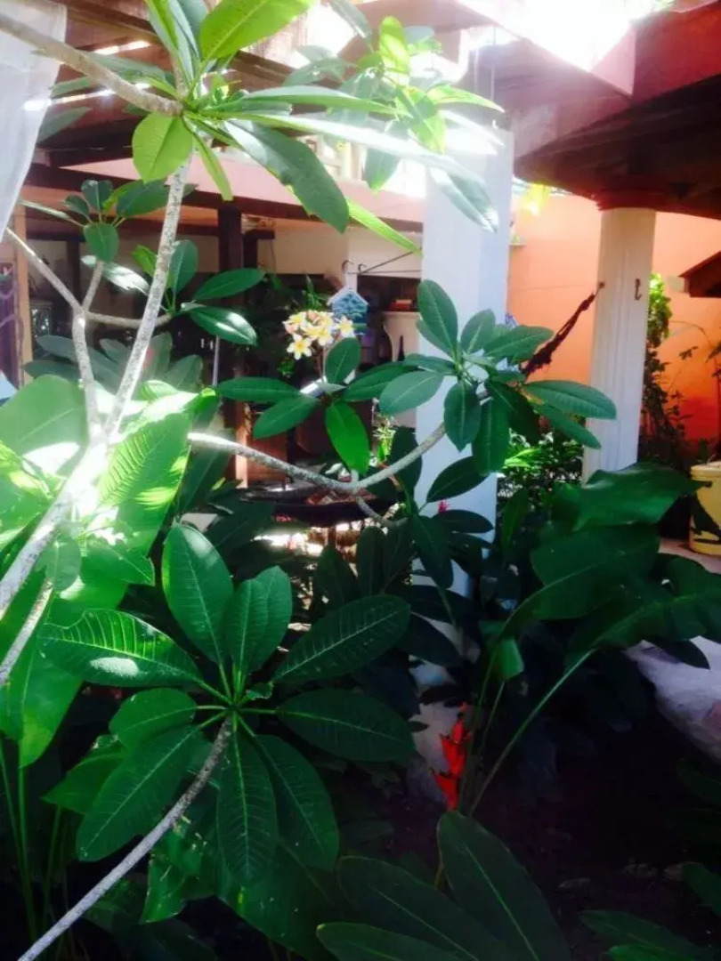 Hotel Boutique Posada Las Iguanas