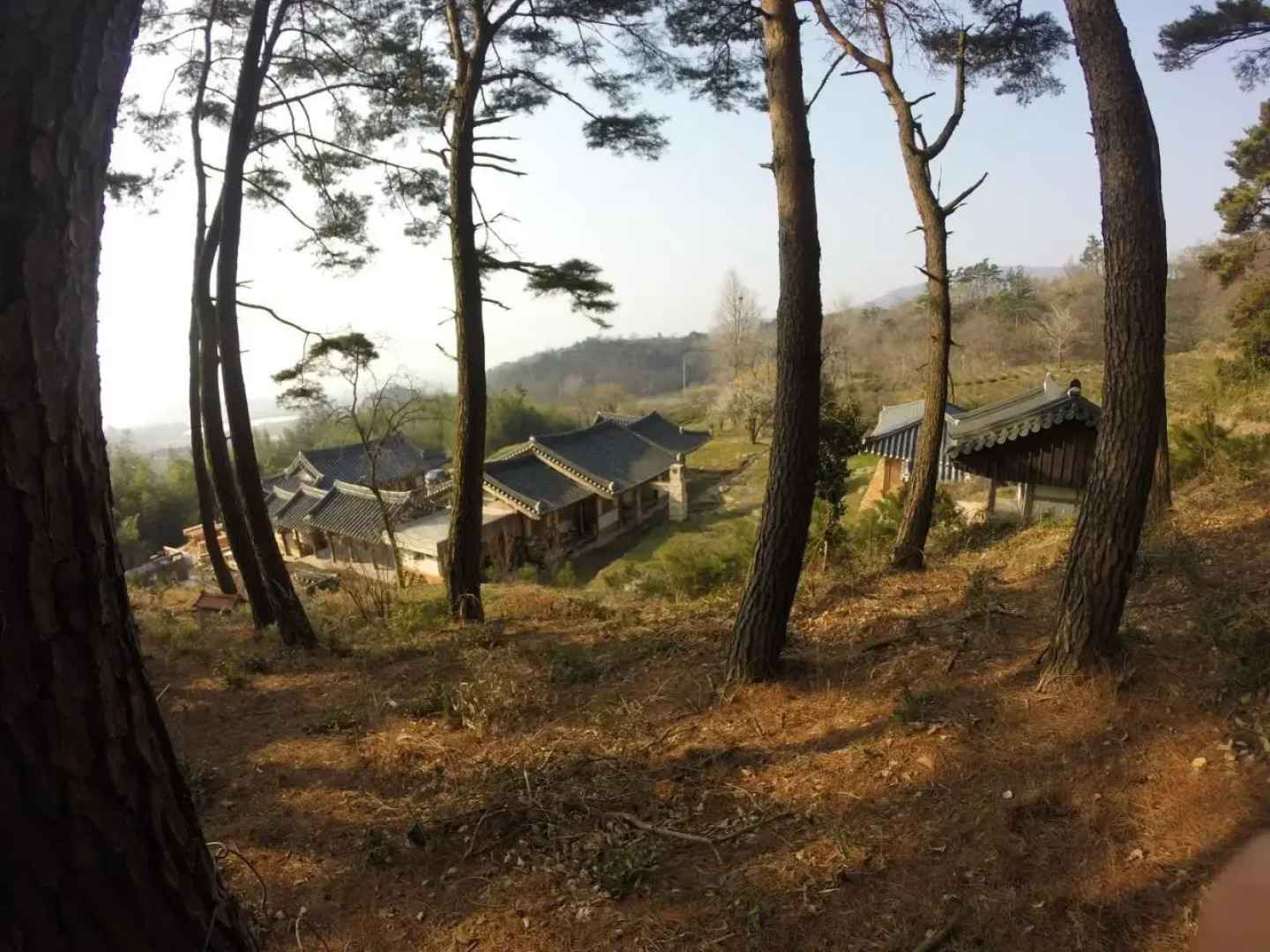 Korean Traditional House - Chungnokdang