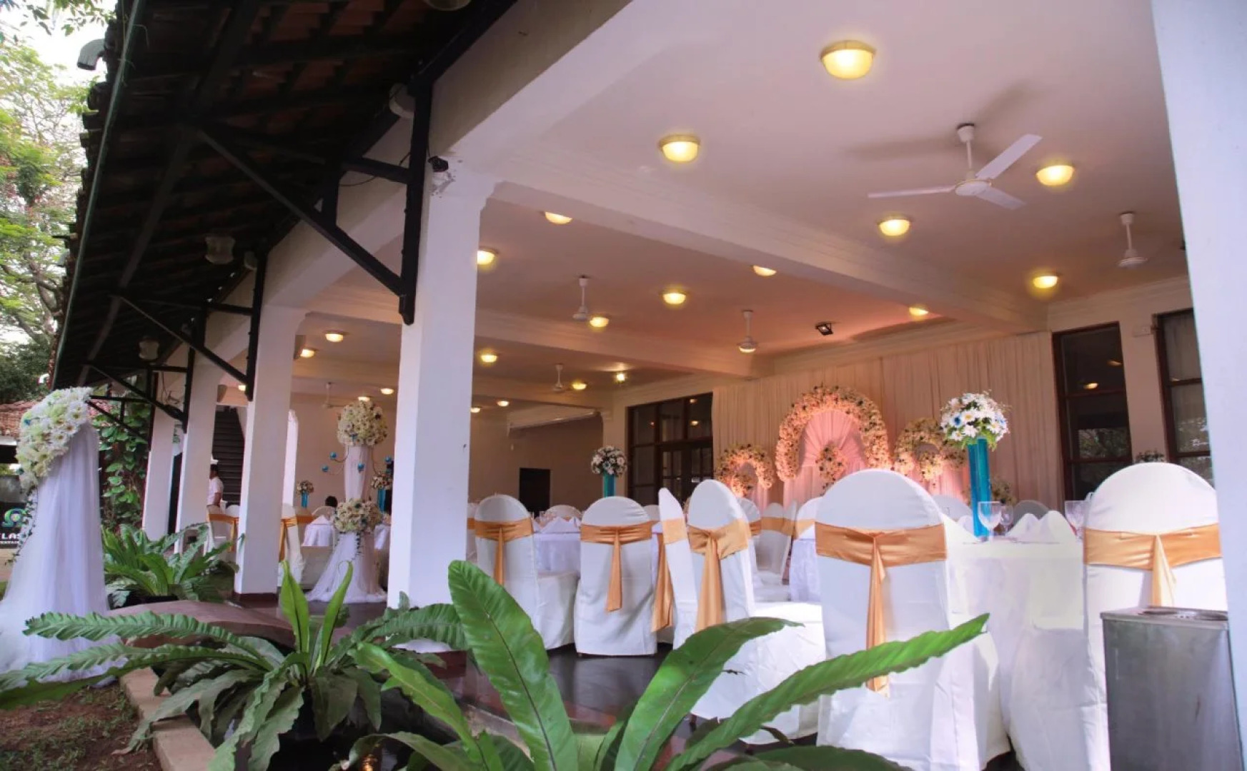 Palms, Mount Lavinia