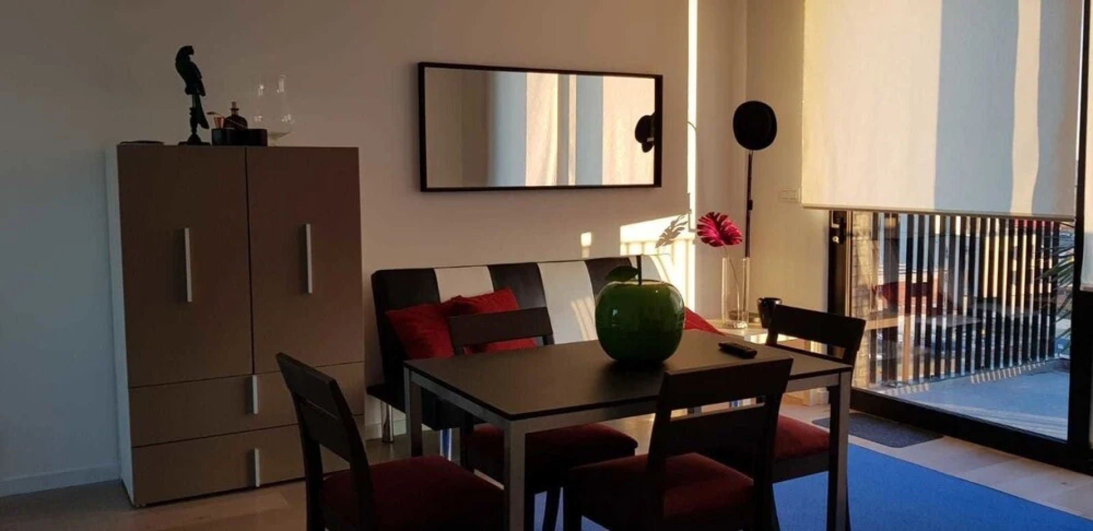 Fully Equipped Sunny Apartment