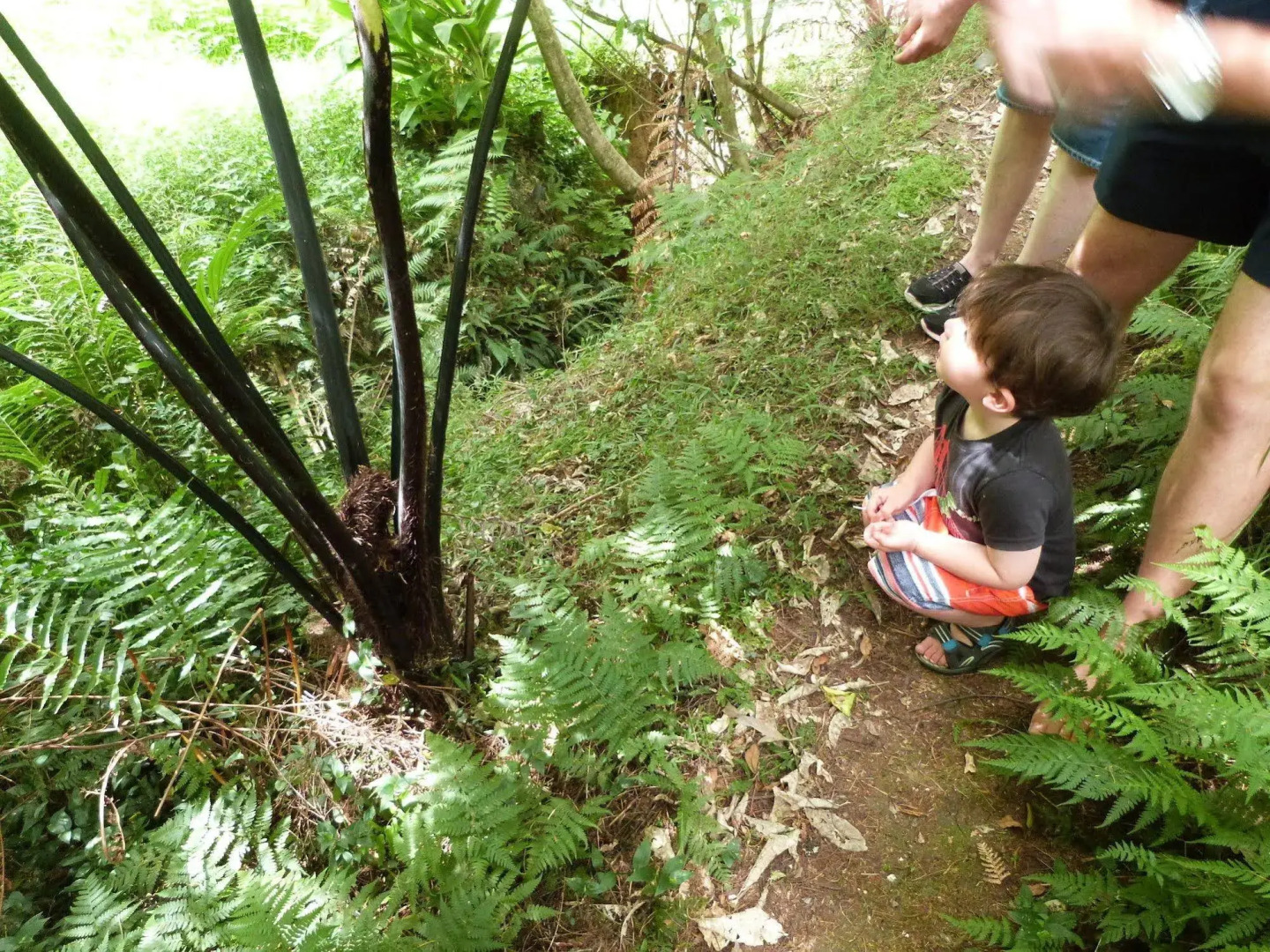Morepork Riverside Lodge