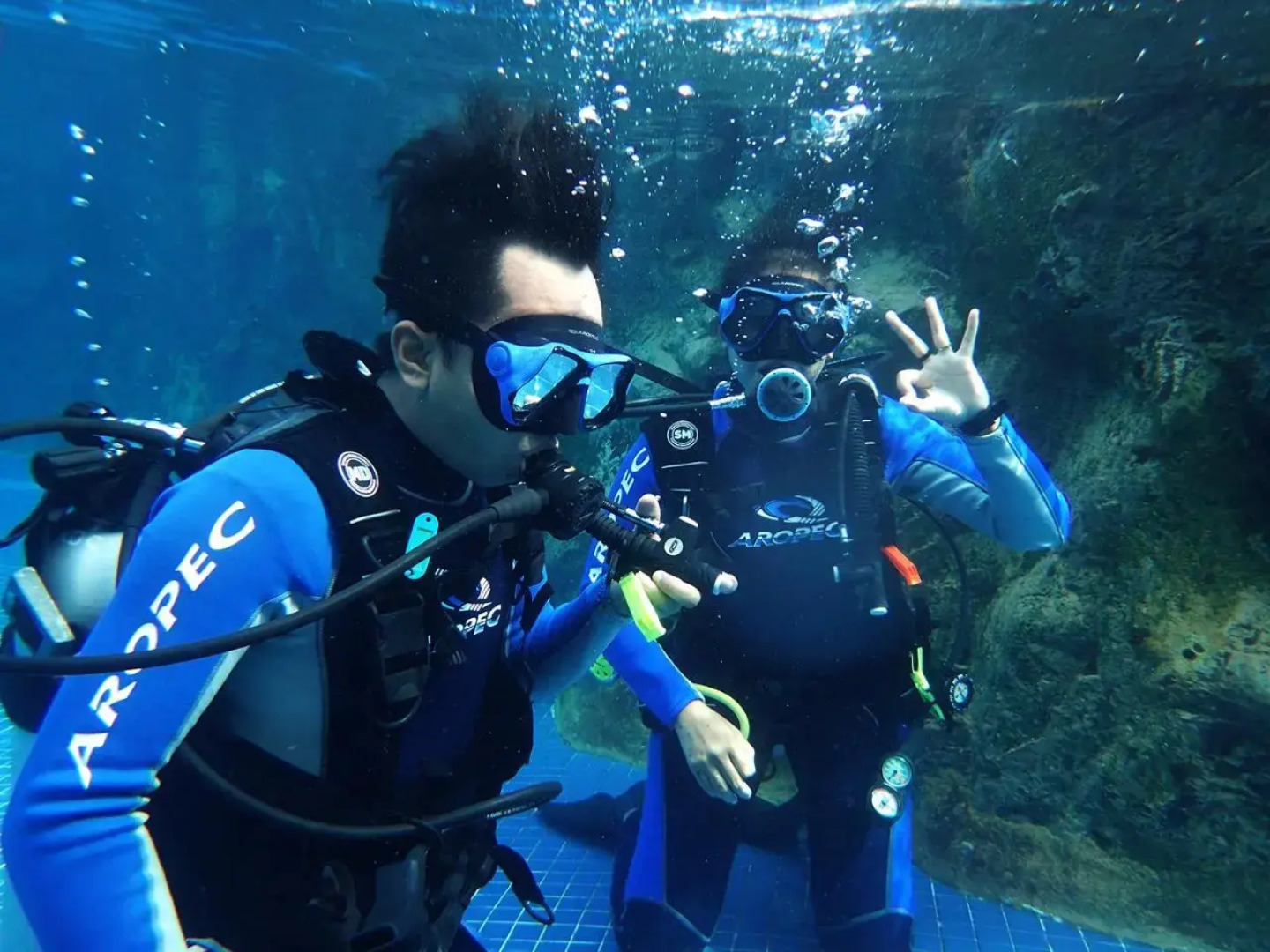 Nirwana Gardens - Indra Maya