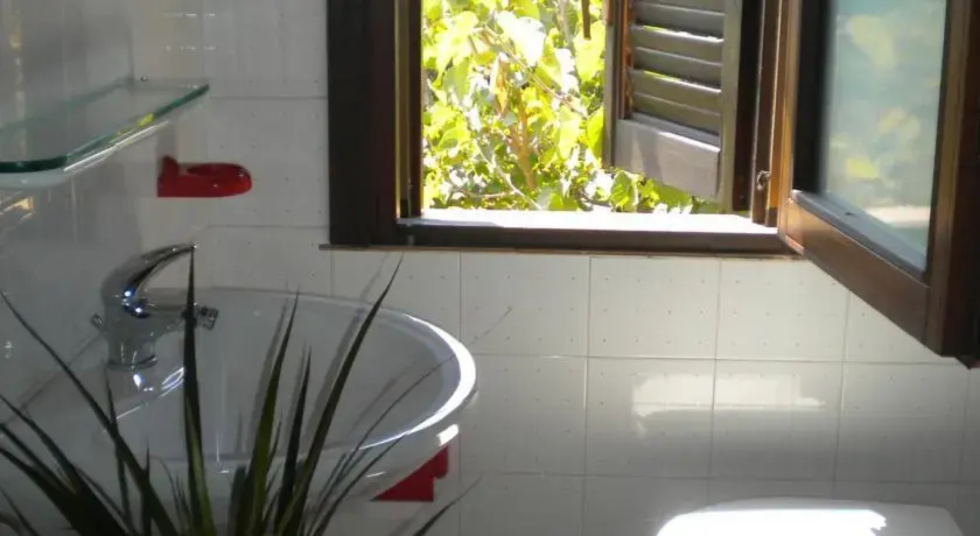 Casa Vacanza in Agrumeto