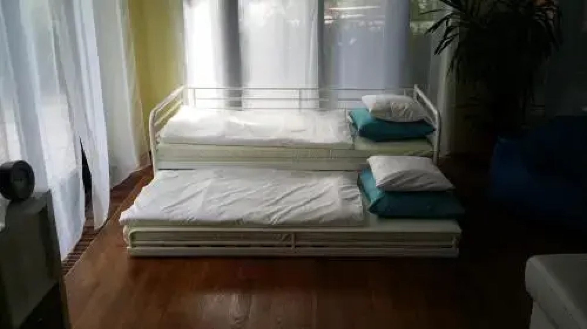 Rybolov pro děti a dospělé