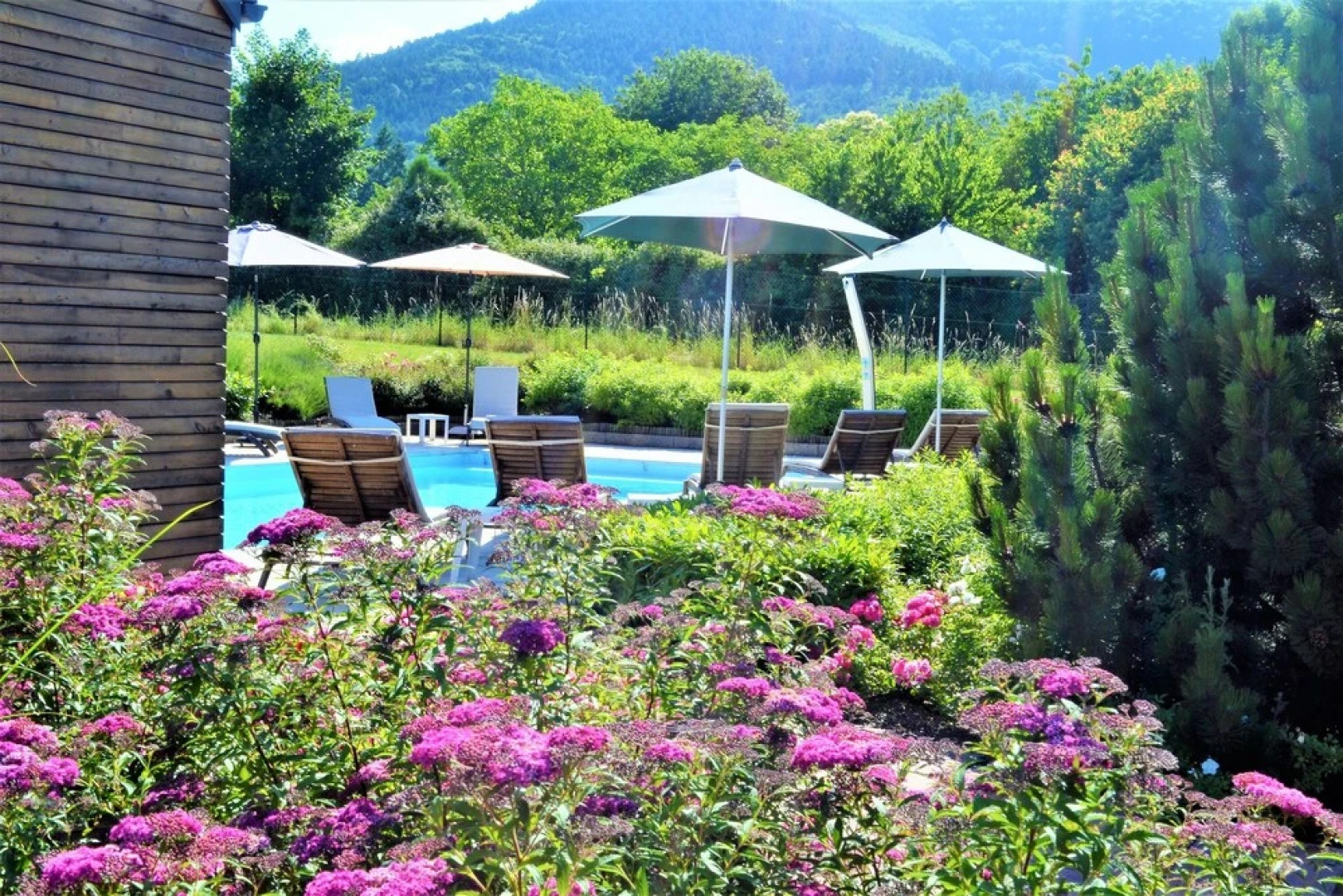 Aux Chants Des Oiseaux