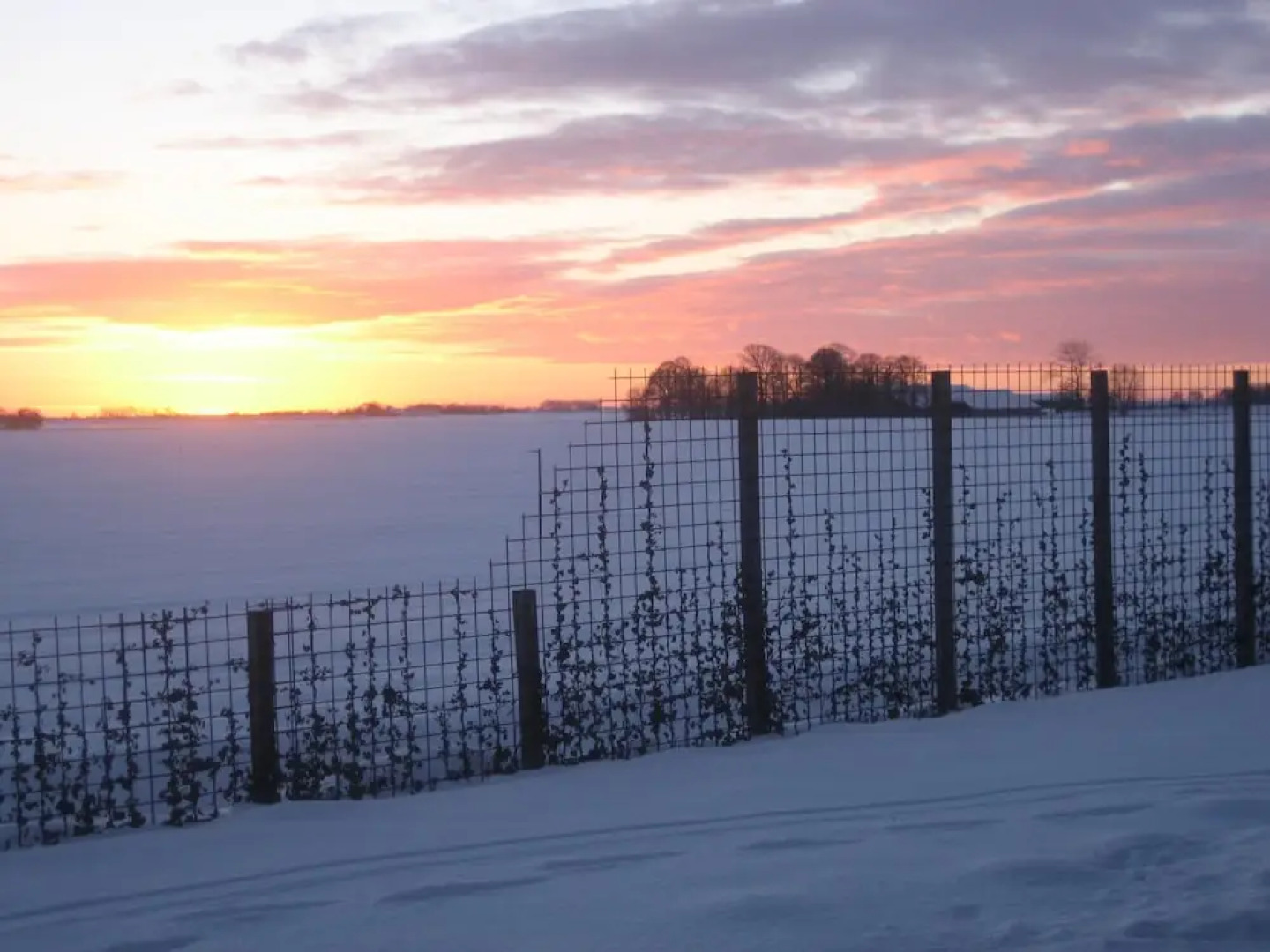 Bed & Breakfast Rheiderland
