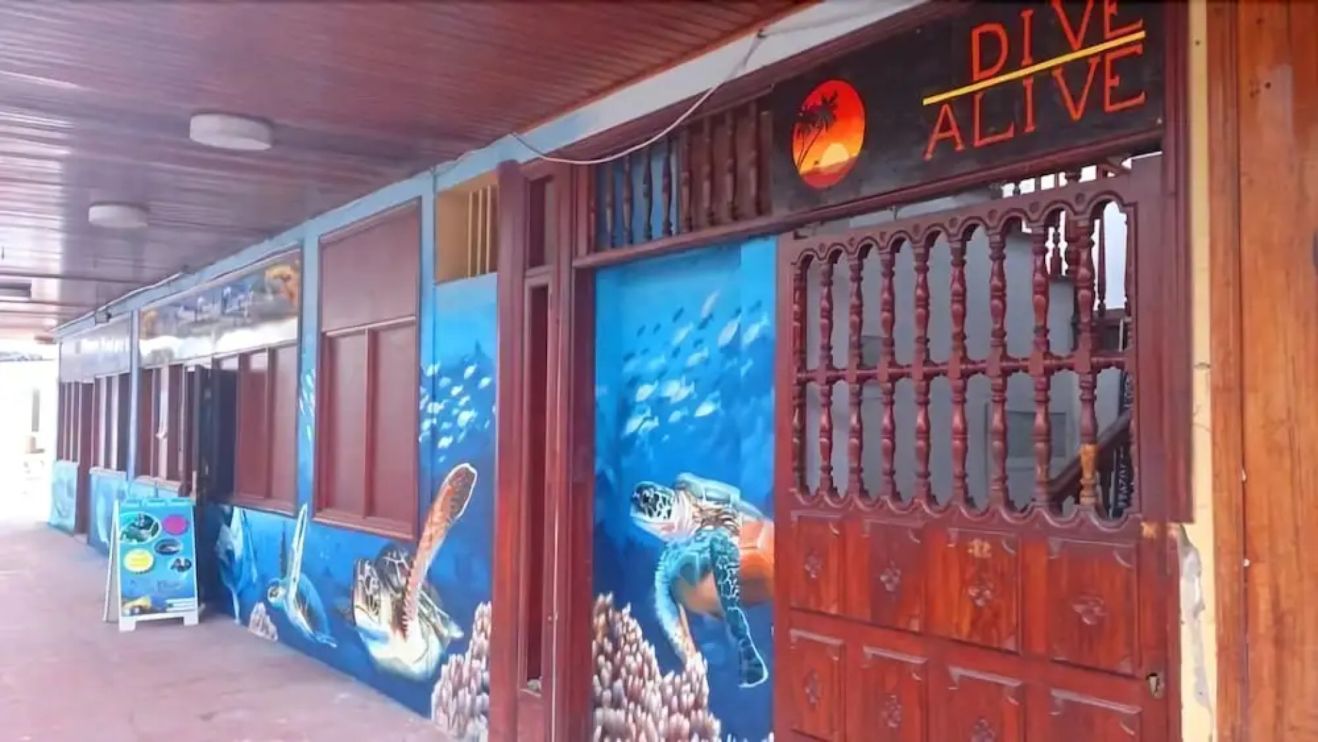 Dive Resort Ocean Dreams Tenerife