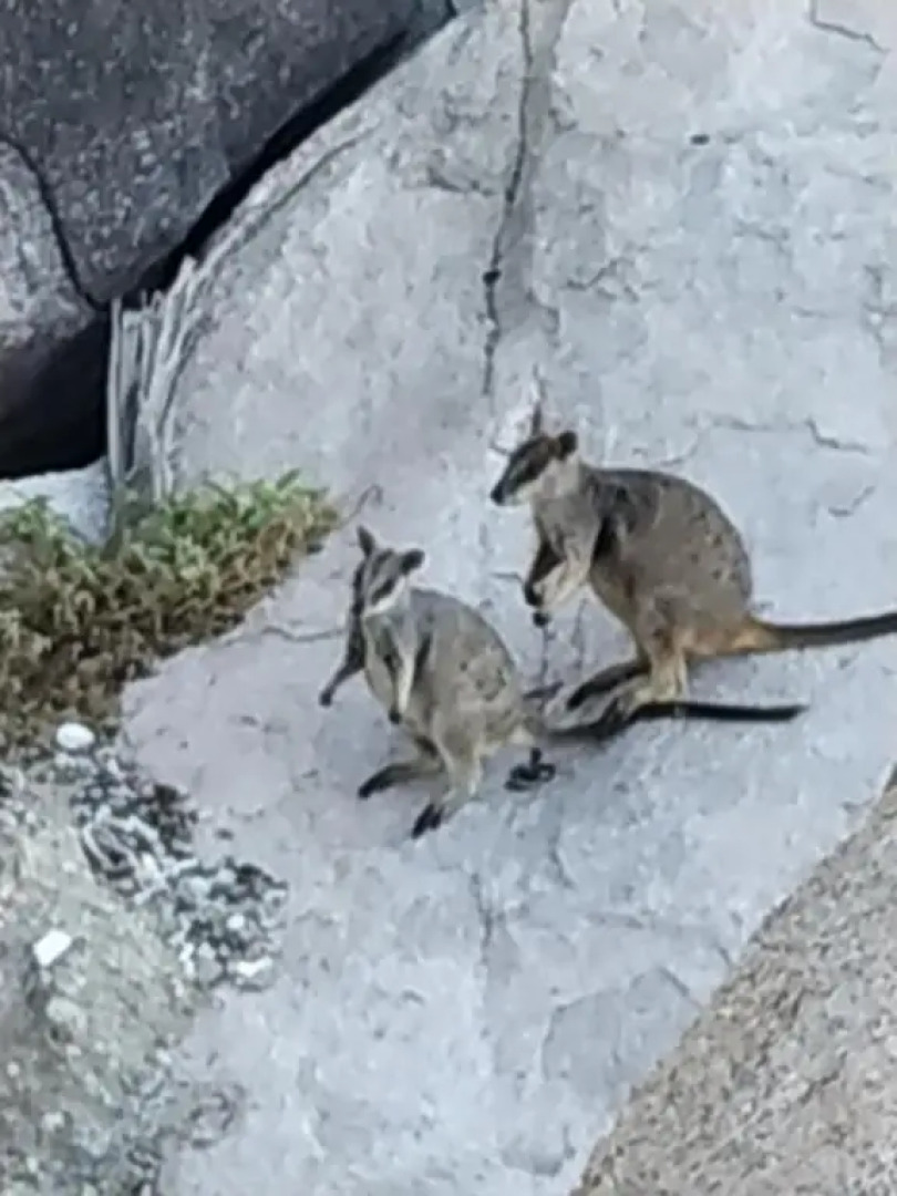 Best at Bright Point Absolute Waterfront 4 bedroom apartment