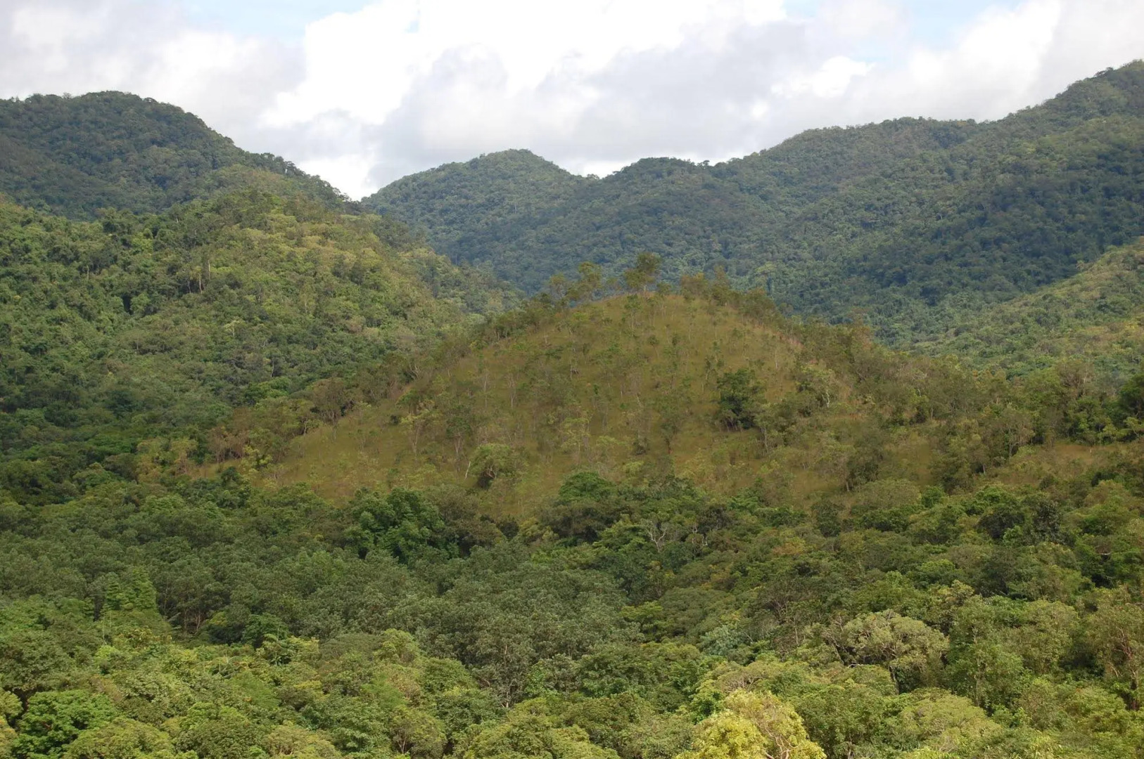 Busuanga Island Paradise Hotel