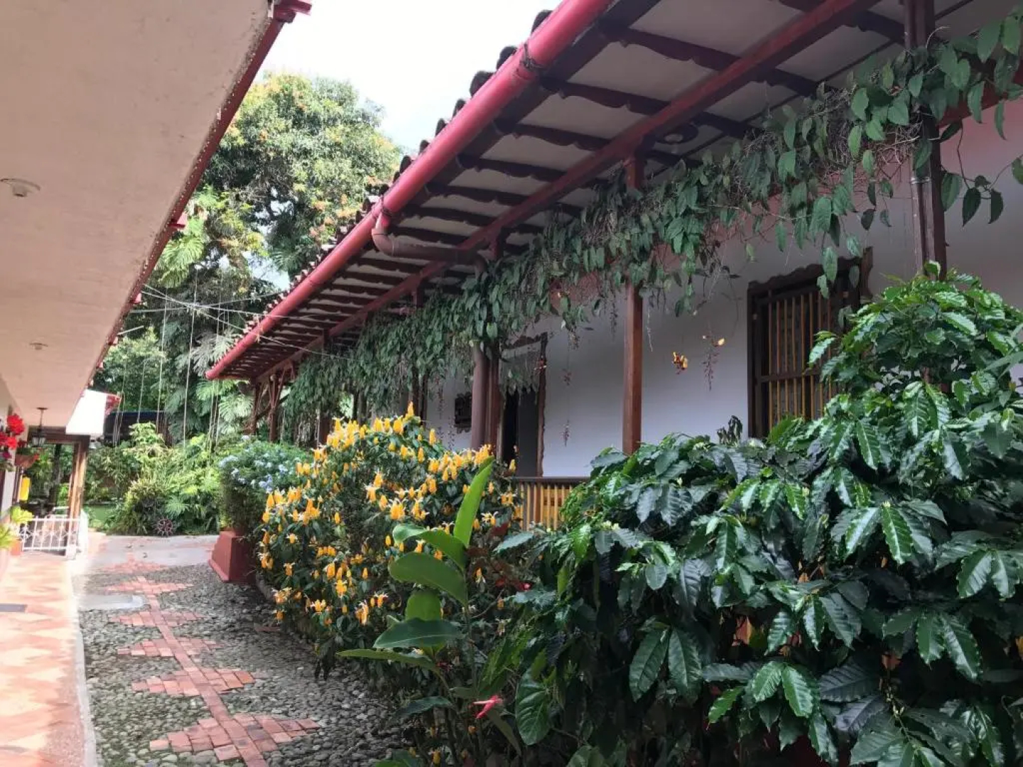 Finca Turistica Machangara