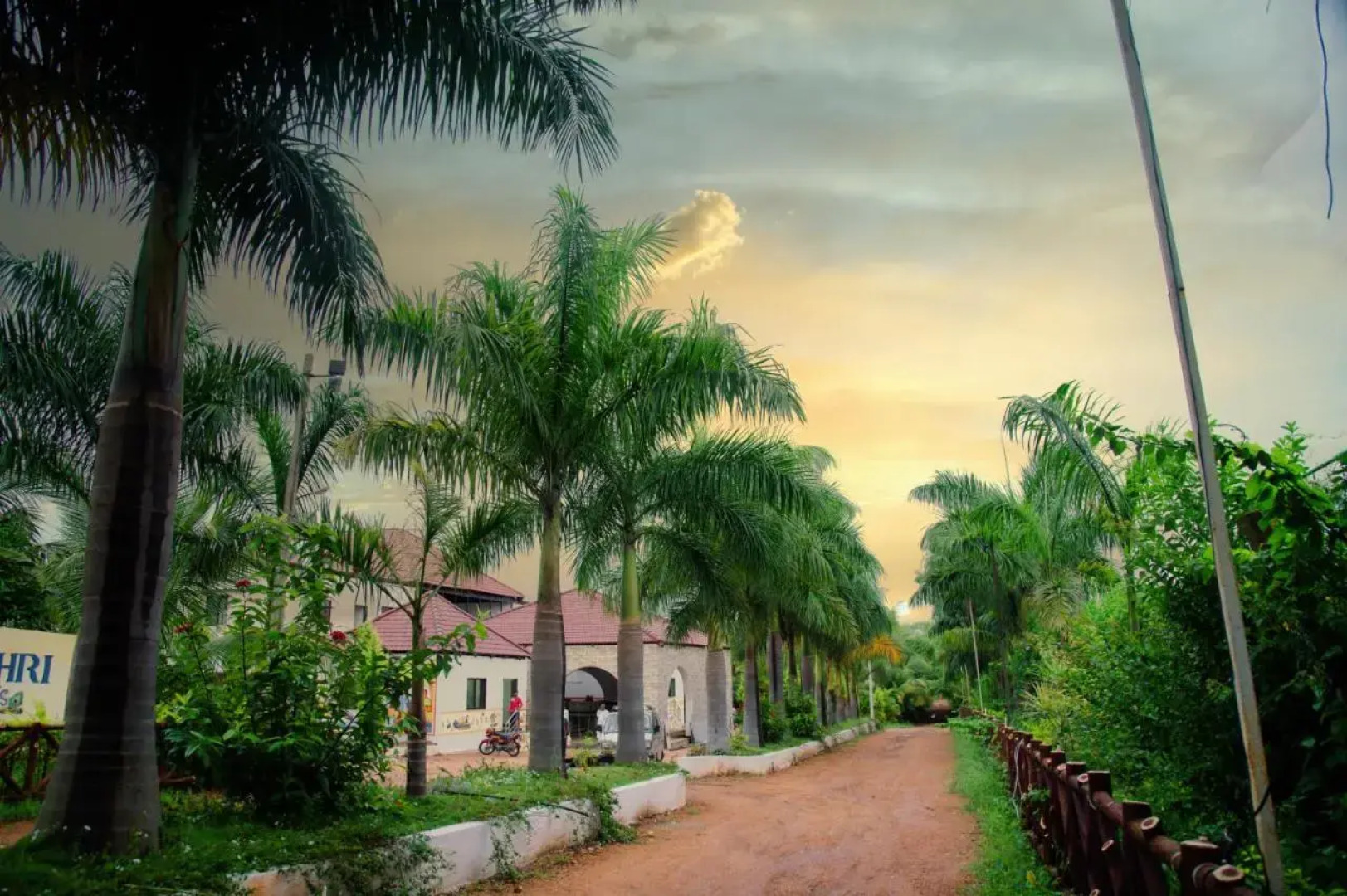 Sterling Banashree Badami