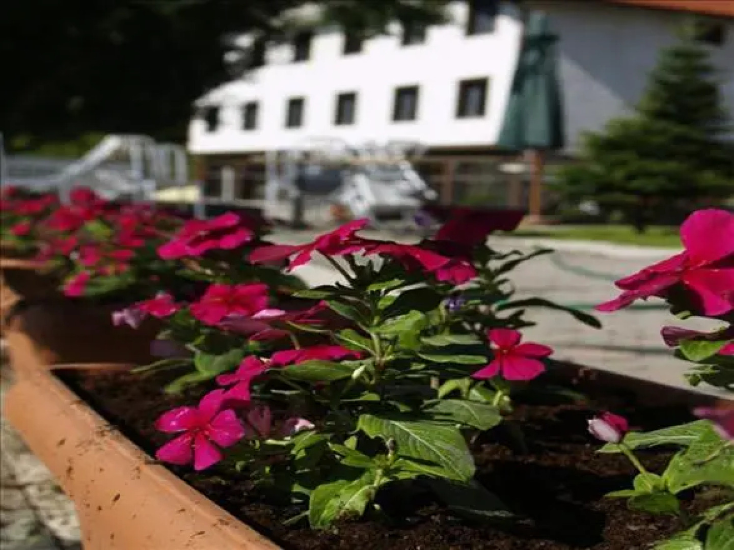 Naousa Natura Mountain Sports Hotel