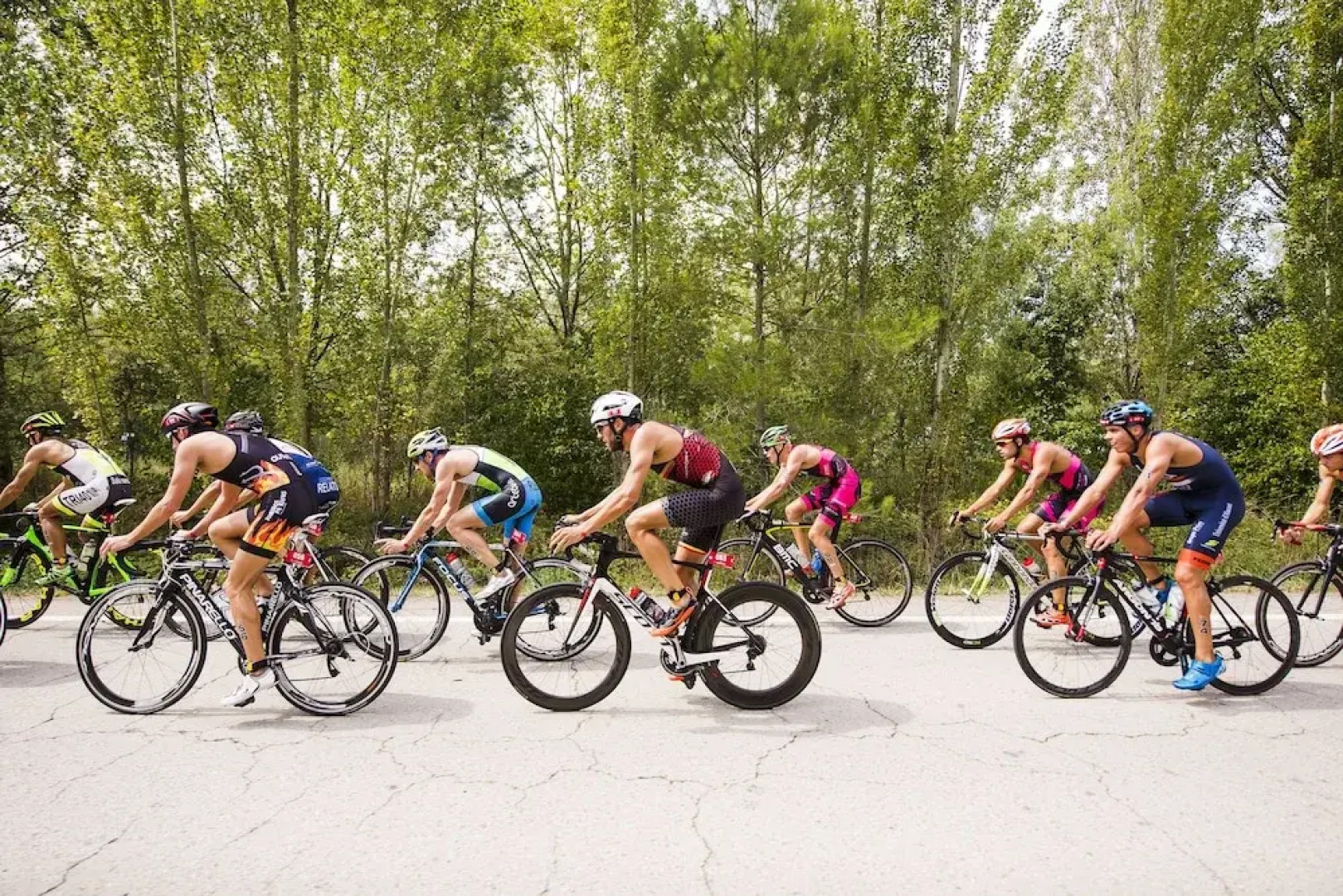 Apartaments La Carpa