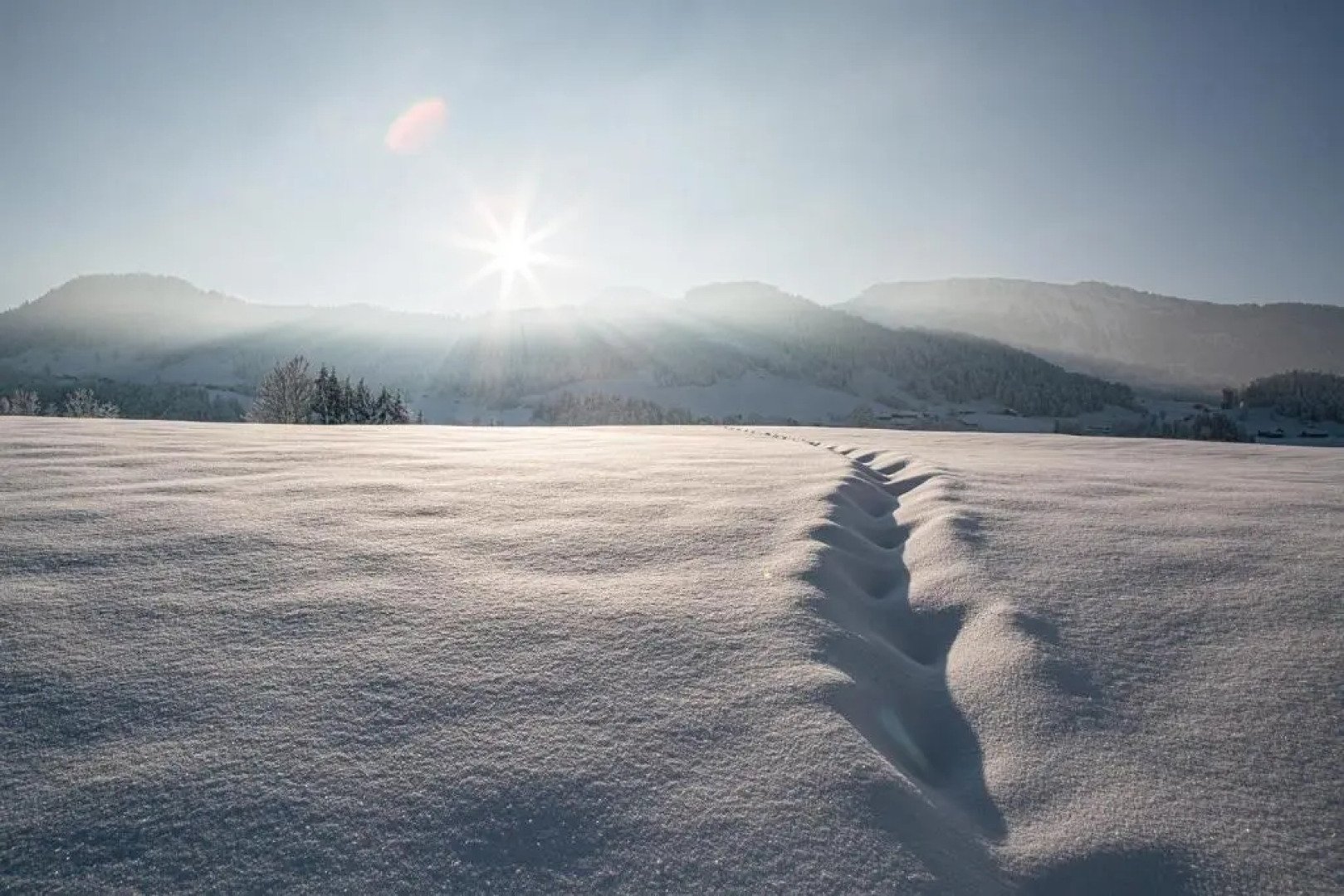Hotel Gasthof Wälderhof