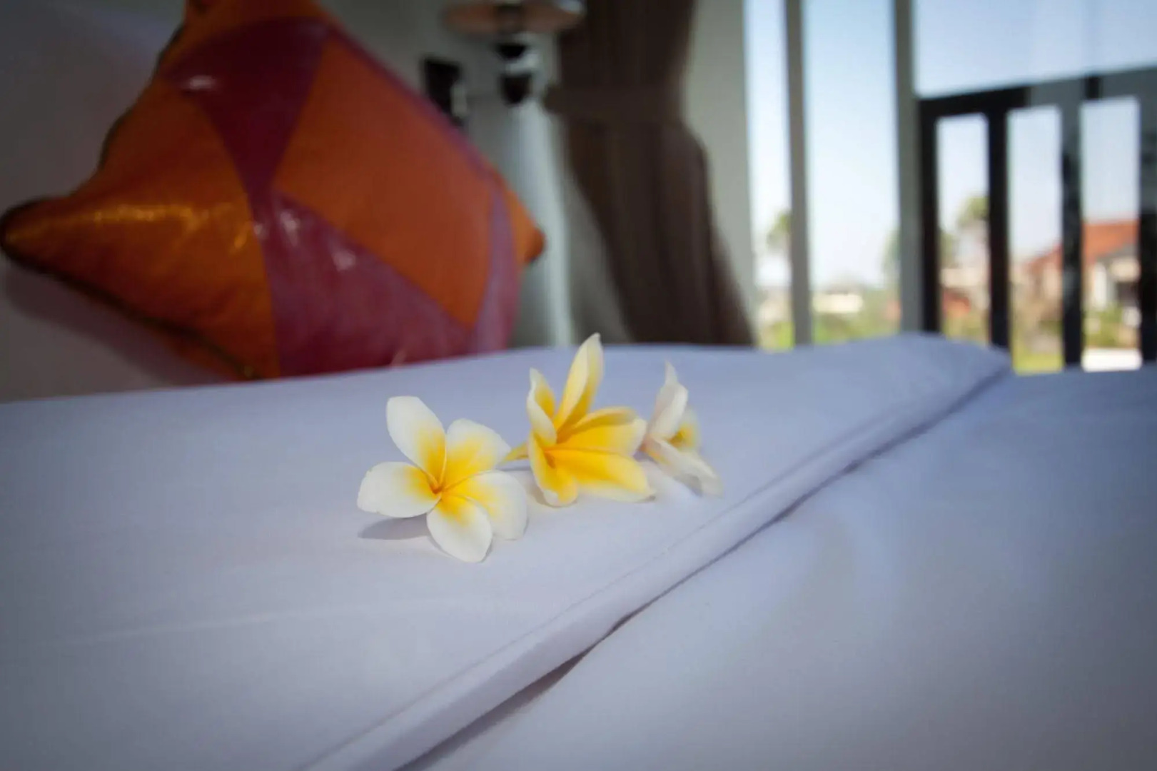 Villa Grace & Milena