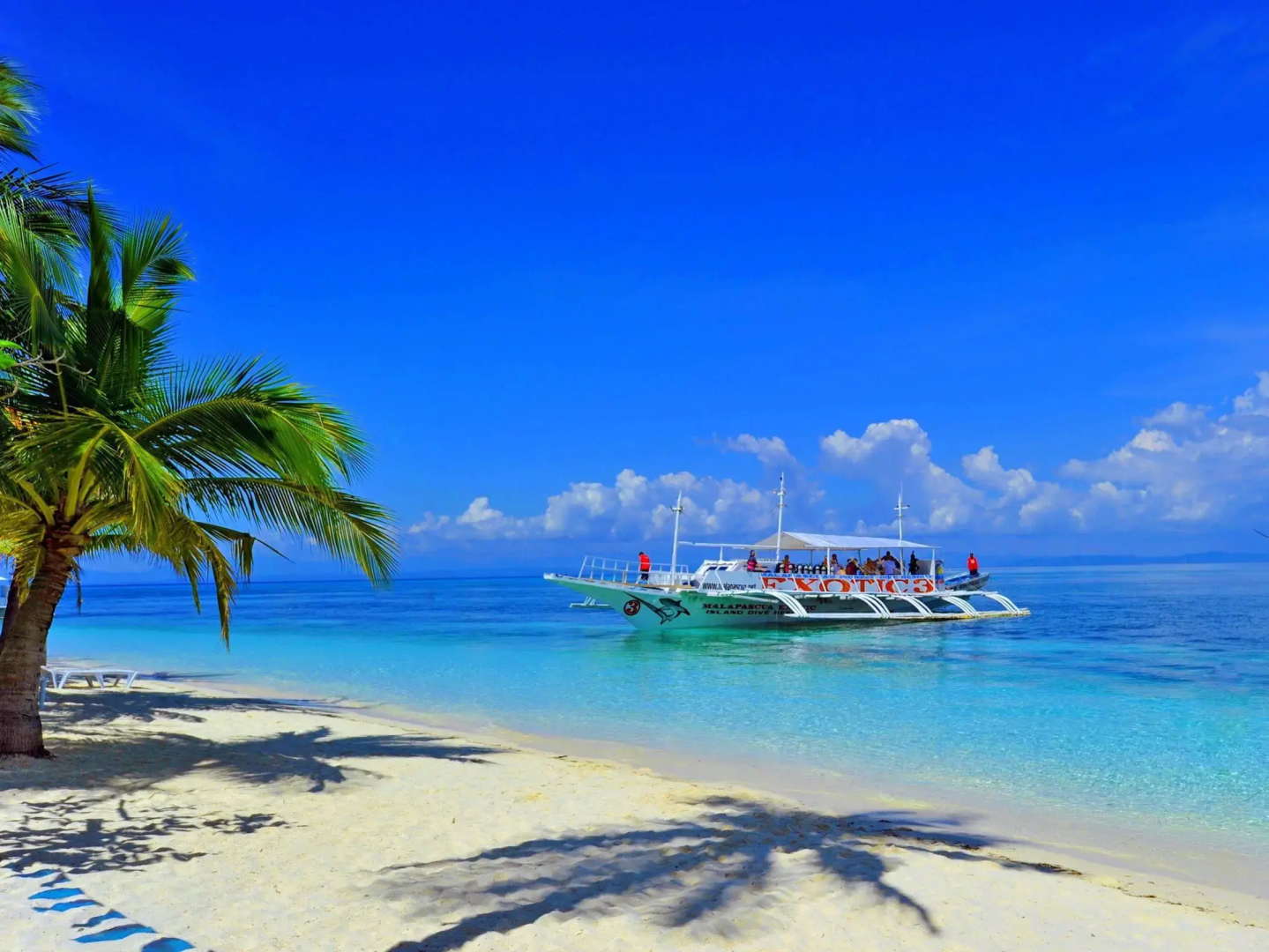 Malapascua Exotic Island Dive and Beach Resort