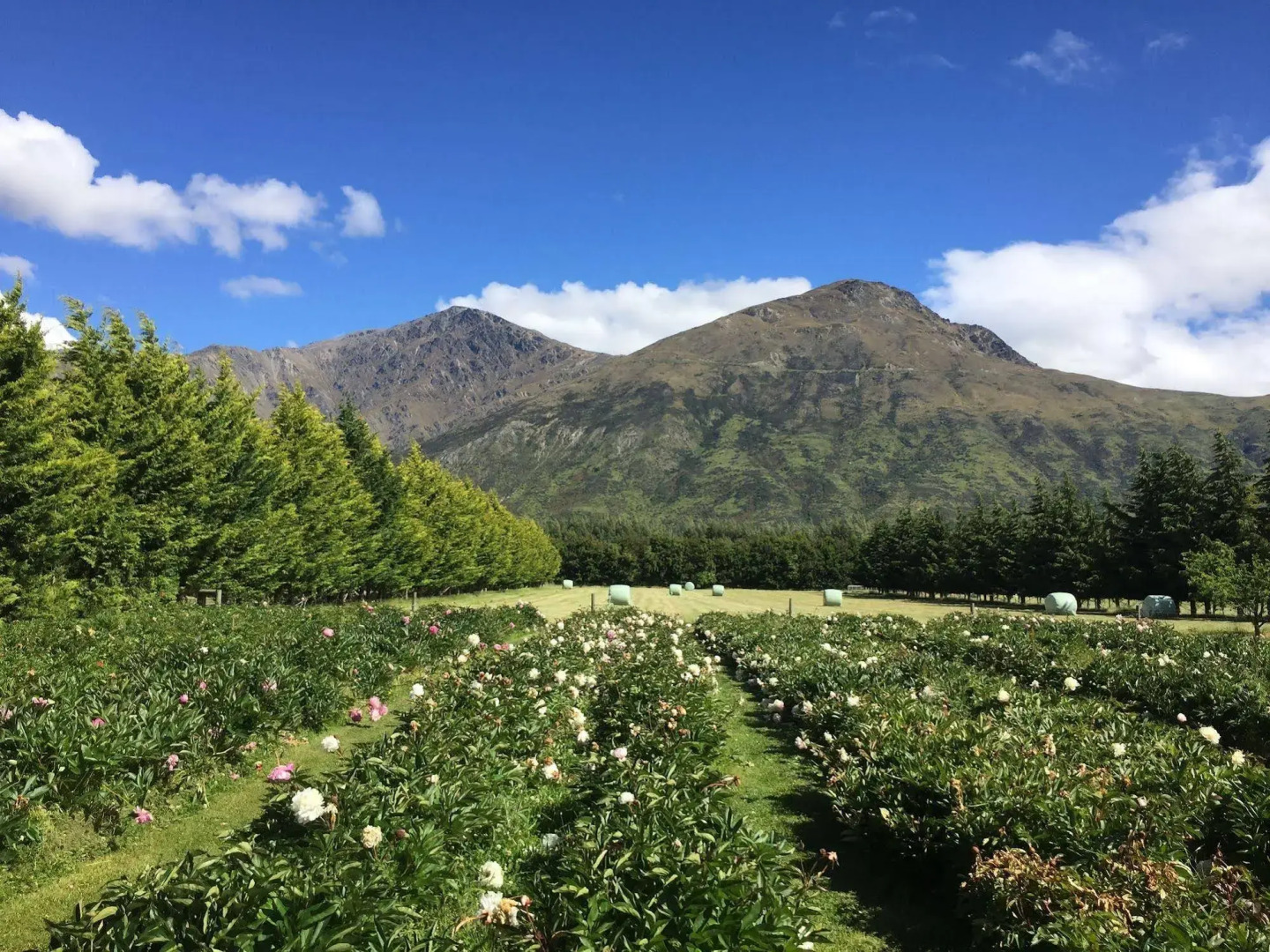 Queenstown Country Lodge