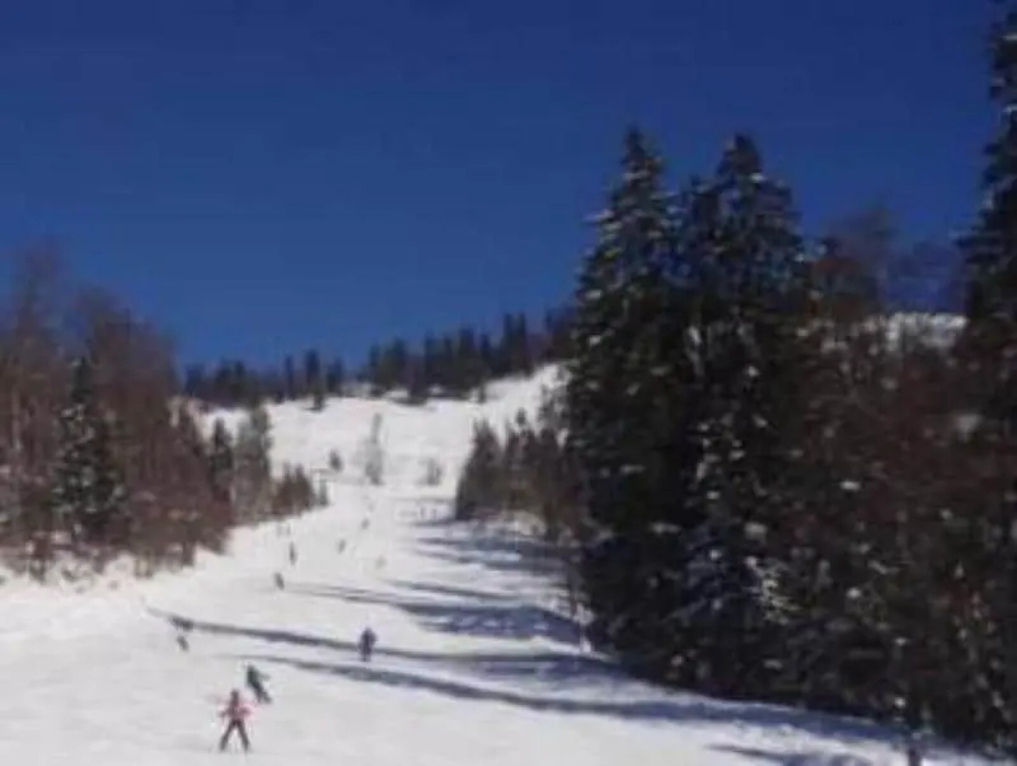 Eisenstattgut Tanzberger