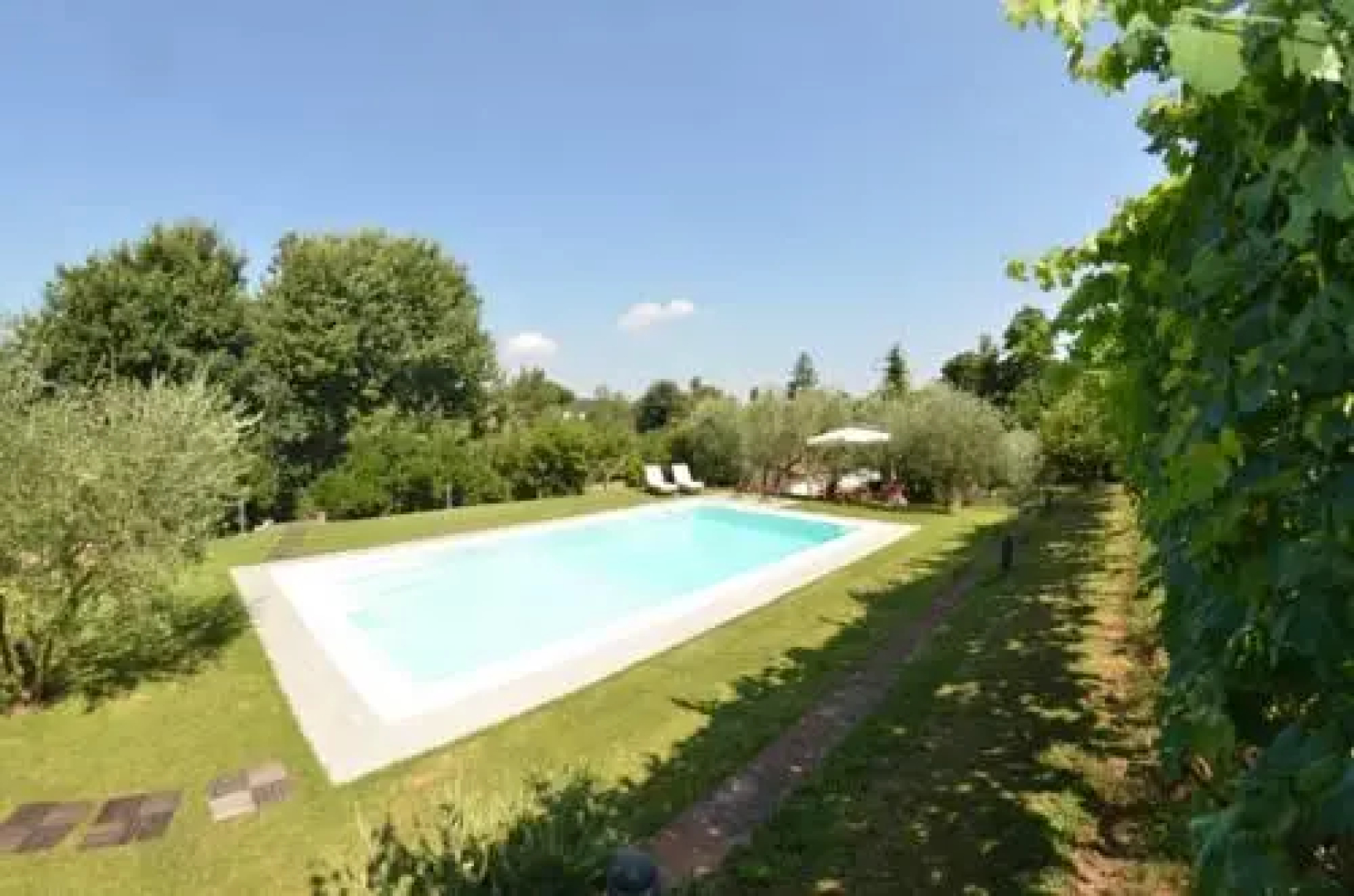 Agli Olivi