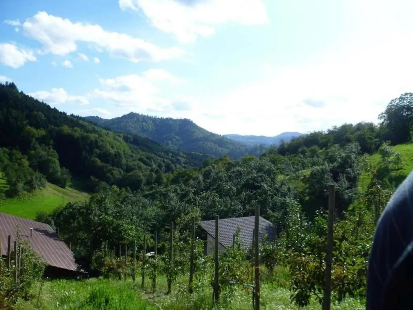 Vogthof Wohnung Schneckenhus