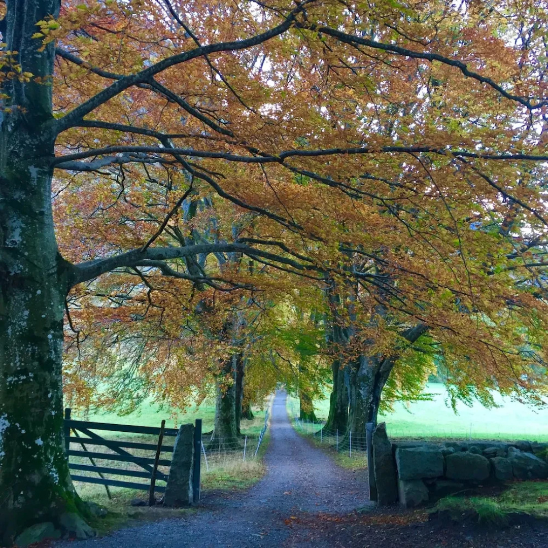 Rosendal Turisthotell