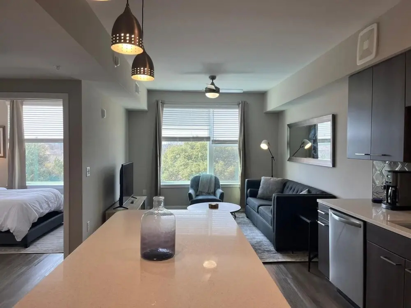 The Elvis Presley Urban Luxury Apts Austin