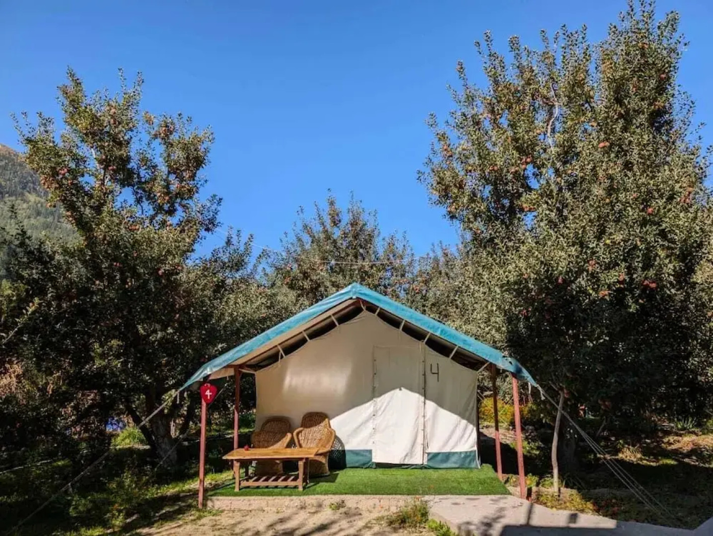 Apple Orchard Farm and Camping