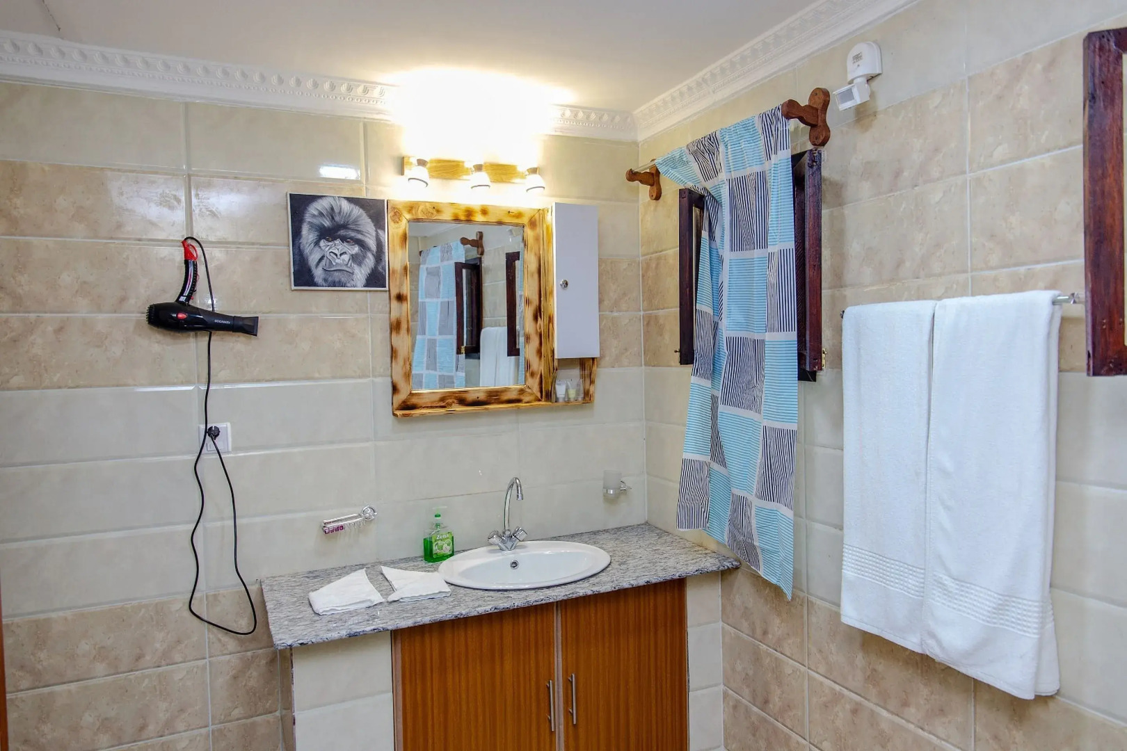 Ingagi Park View Lodge