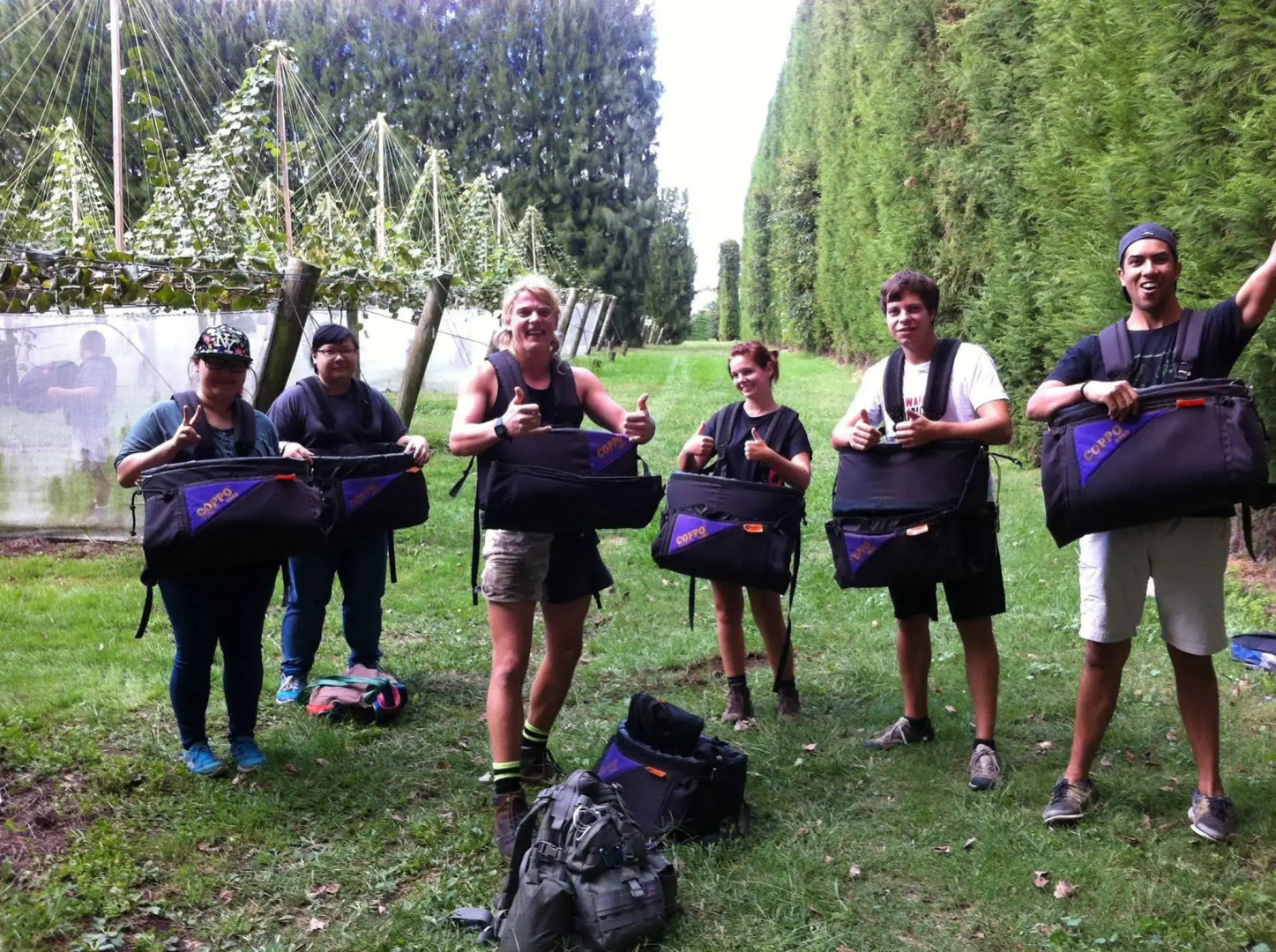 Apple Tree Backpackers