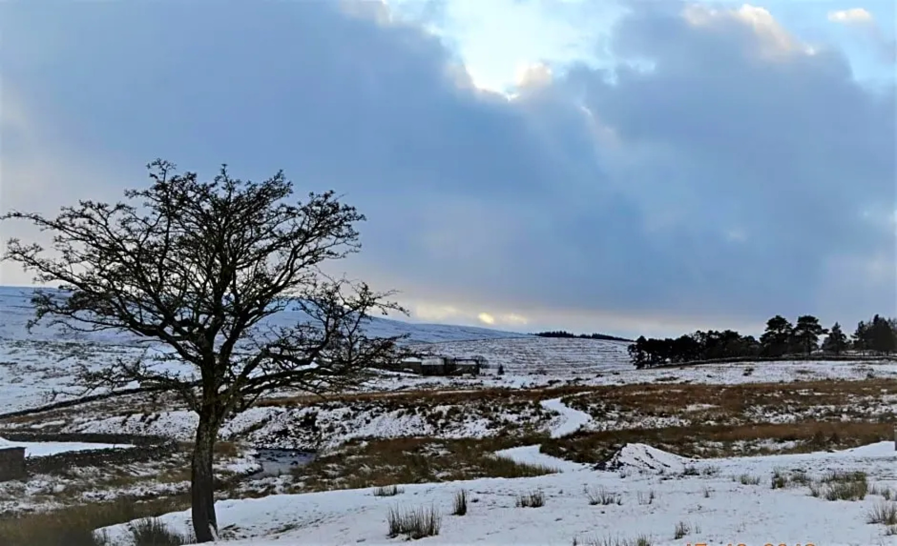 The Garsdale Bed & Breakfast - Goats and Oats at Garsdale