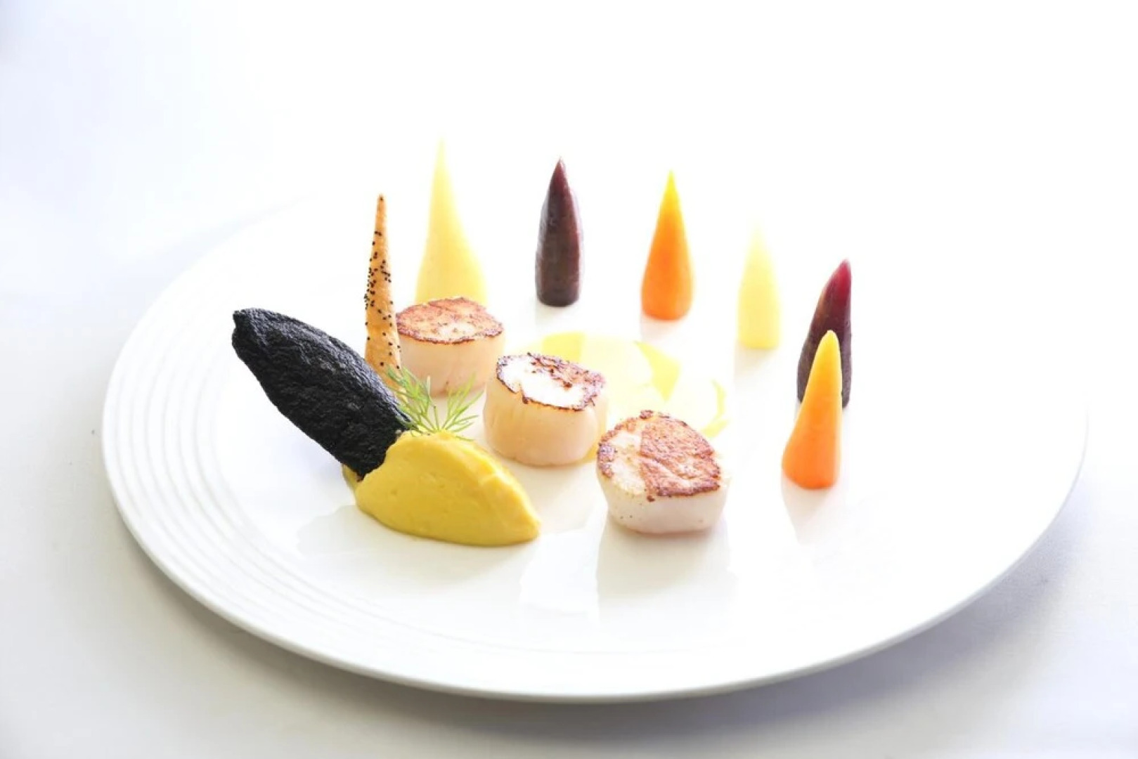 Entre Vigne et Garrigue