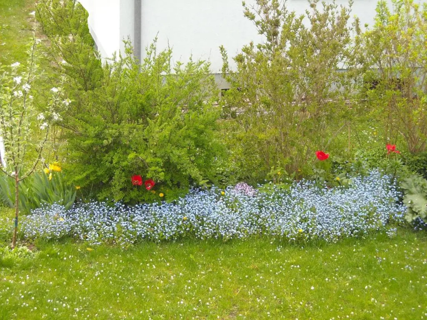 Stadtnahe Landwohnung