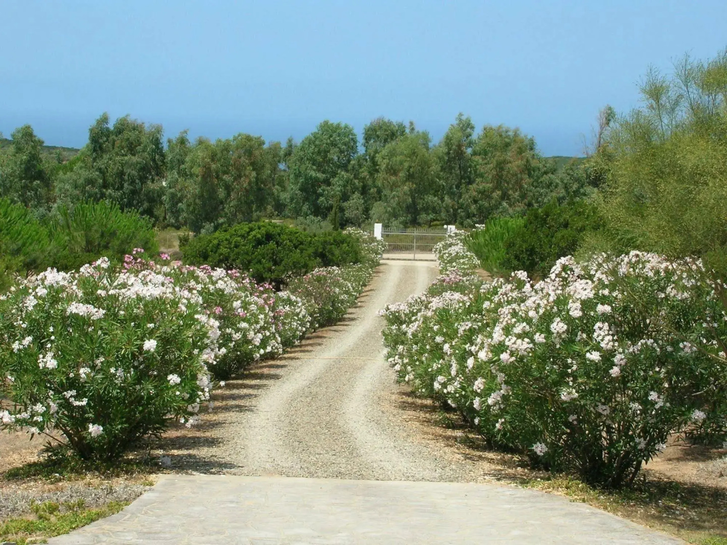 Scivu Porta delle Stelle