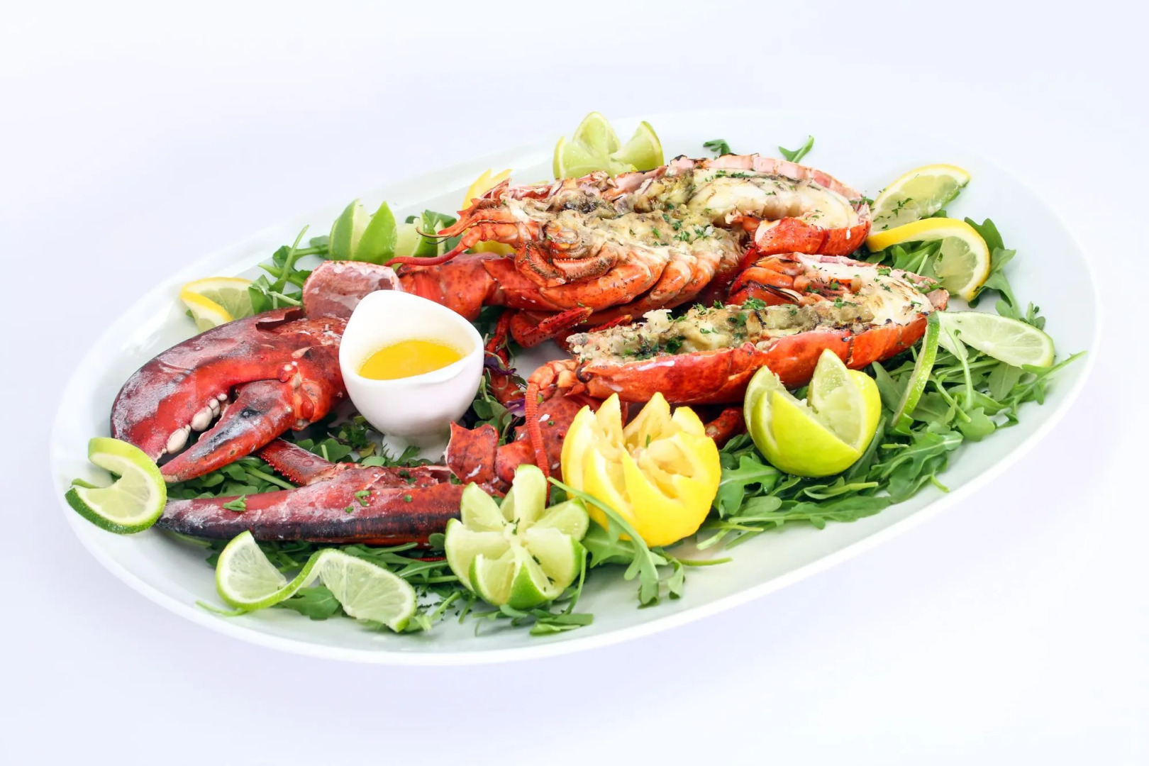 Miccosukee Casino & Resort