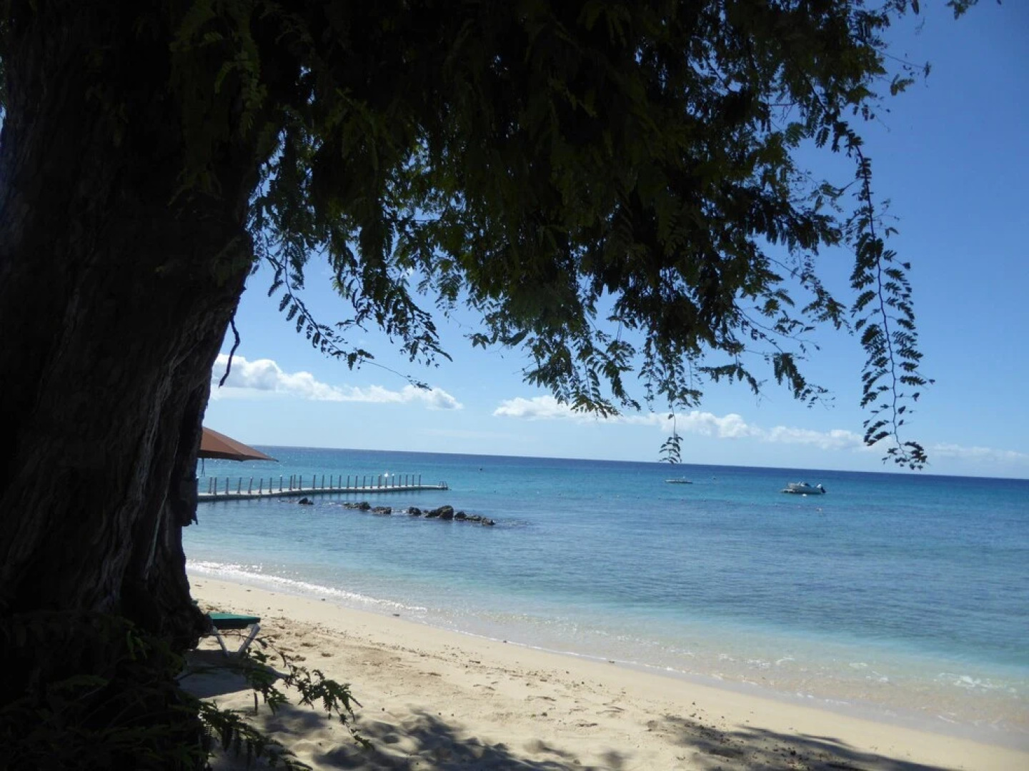 Great Apartment in Bridgetown, Barbados Bargain