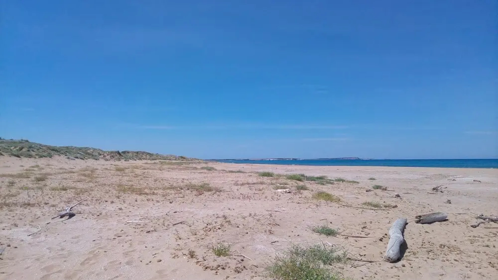 Green House - Woods And Beaches - Sardinia