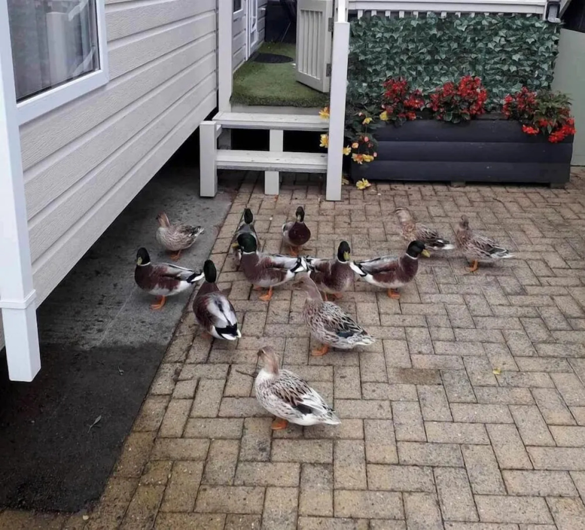 Luxury Rural Hottub Lodge in Northumberland
