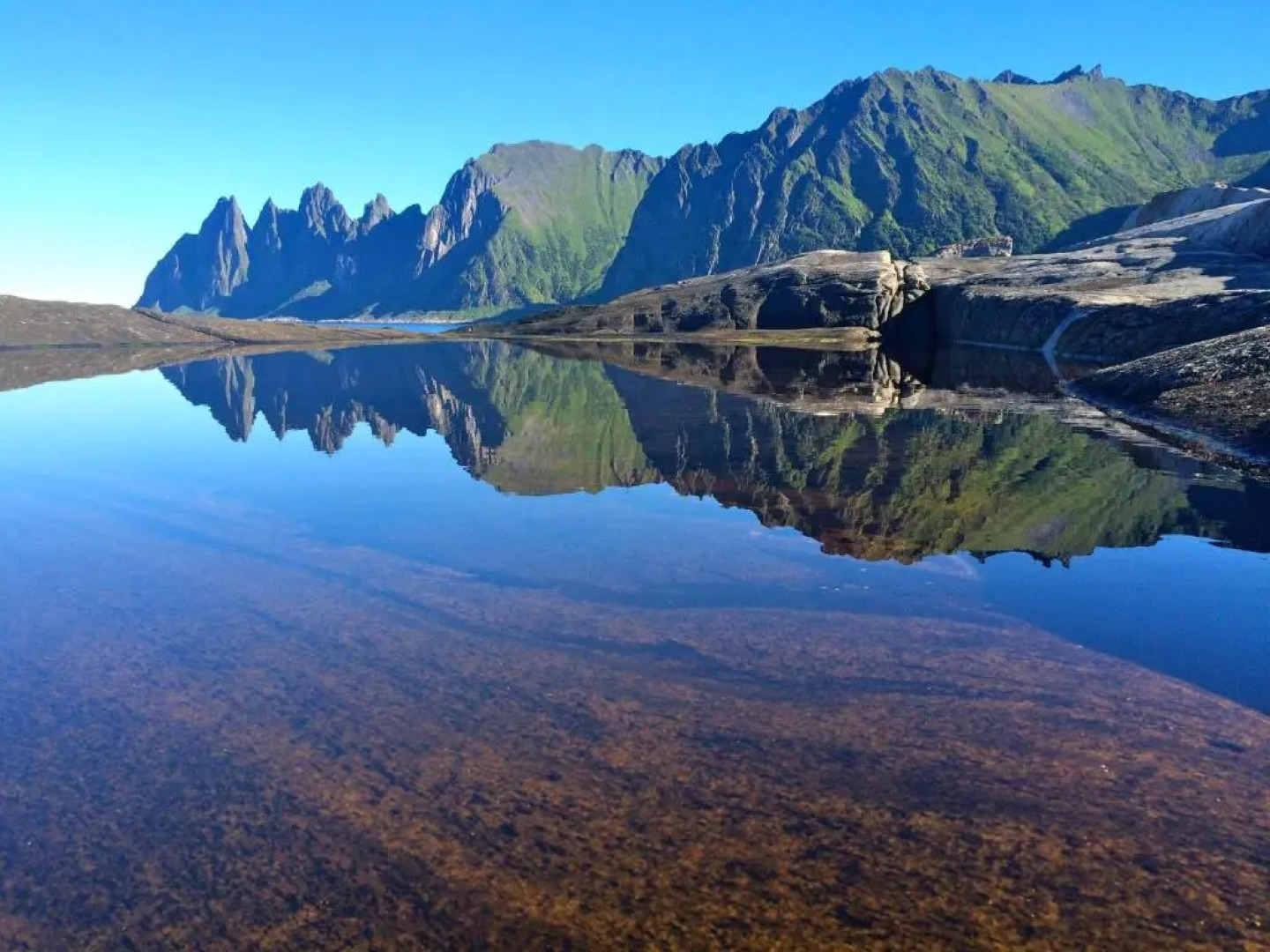 Superior Cottage with Sea View in Senja