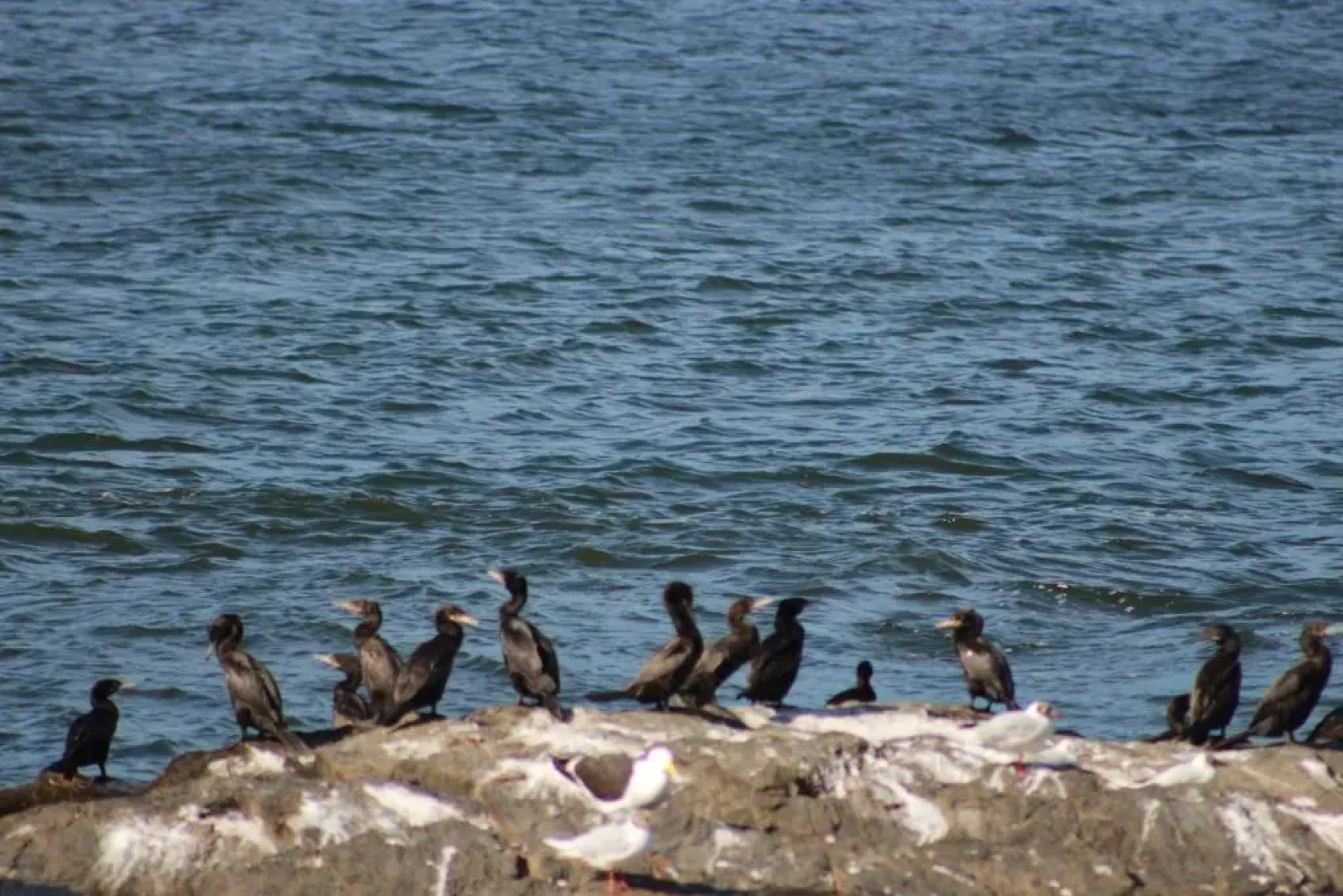 Cabañas Lomas de Trapel