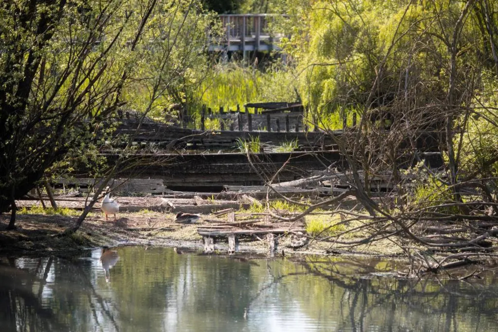 Agriturismo Casa Fiorindo