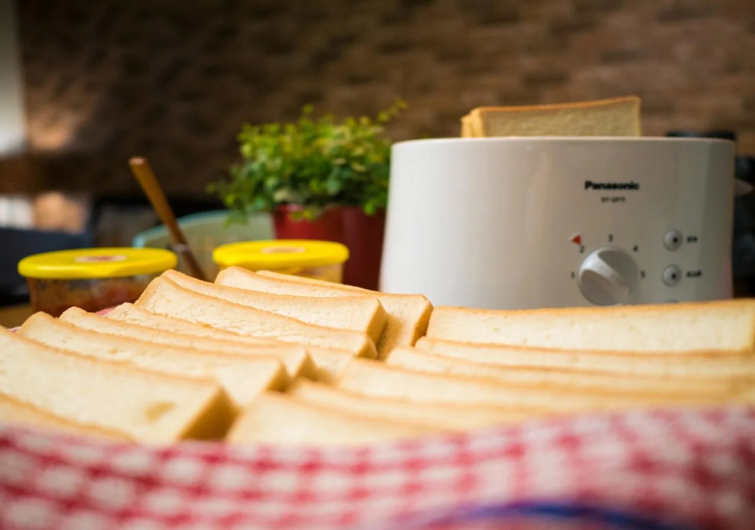 On My Way Taitung Hostel Backpacker